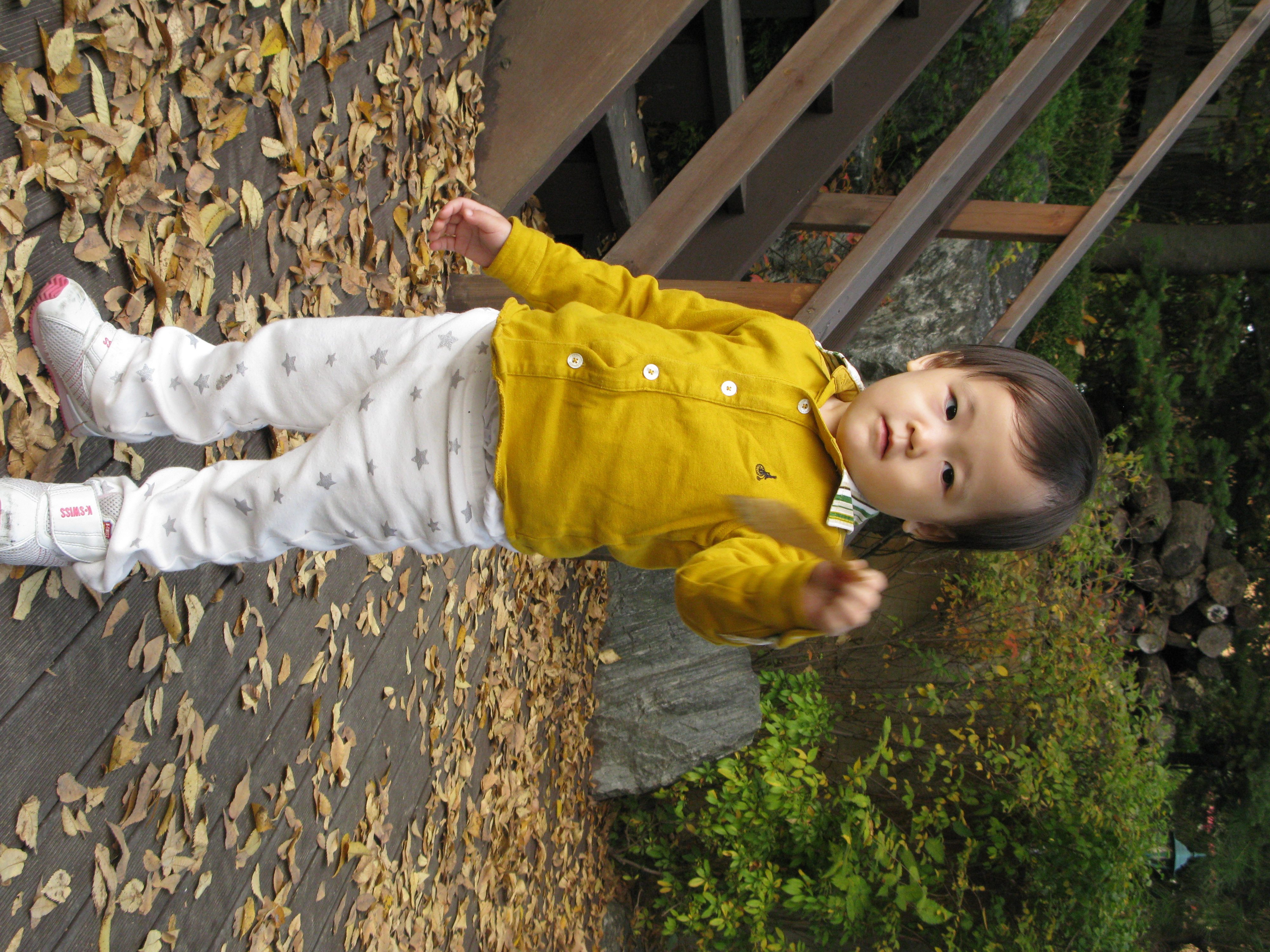 2009-10-25 오후 4-17-34.JPG