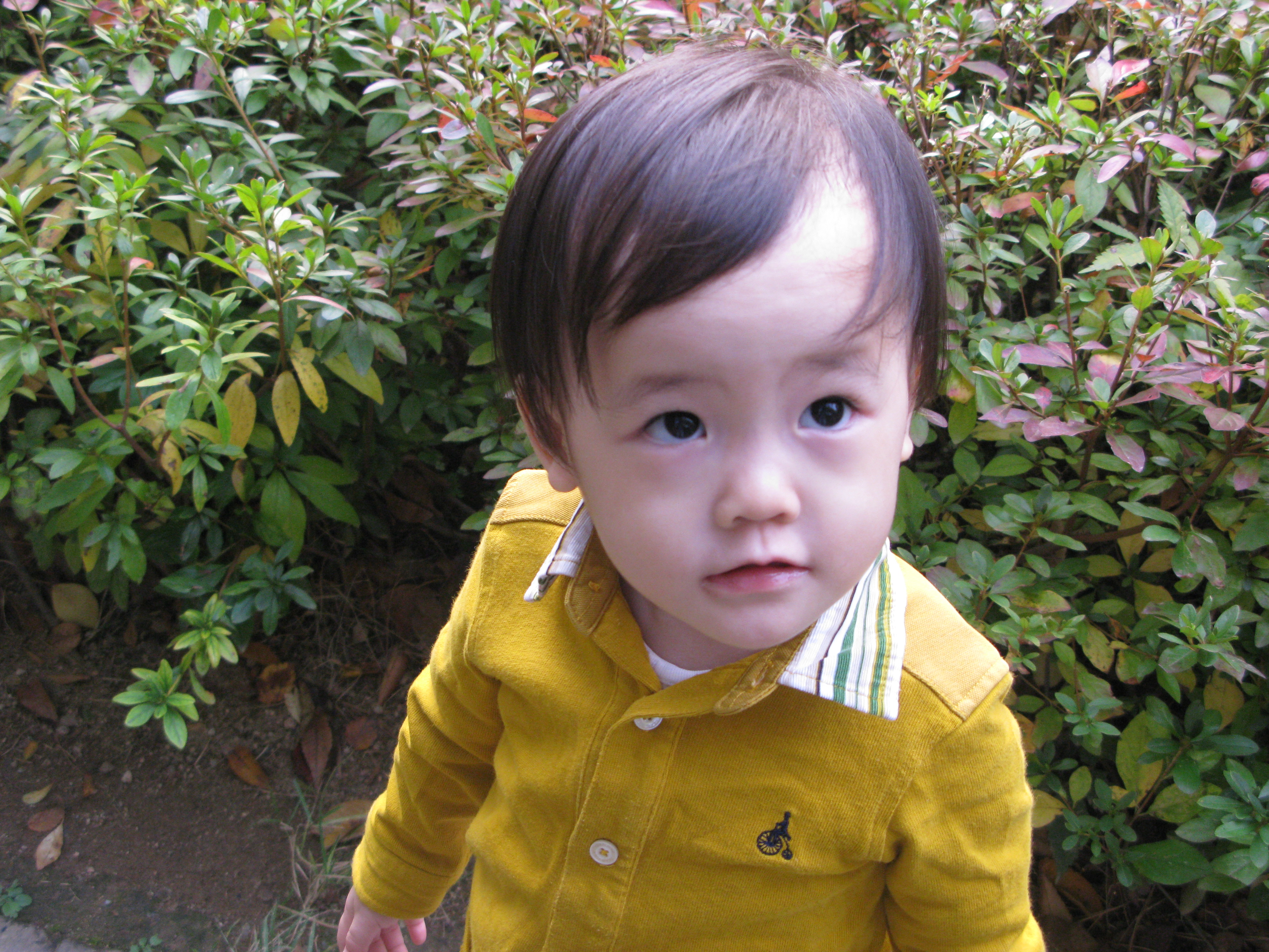 2009-10-25 오후 4-19-30.JPG