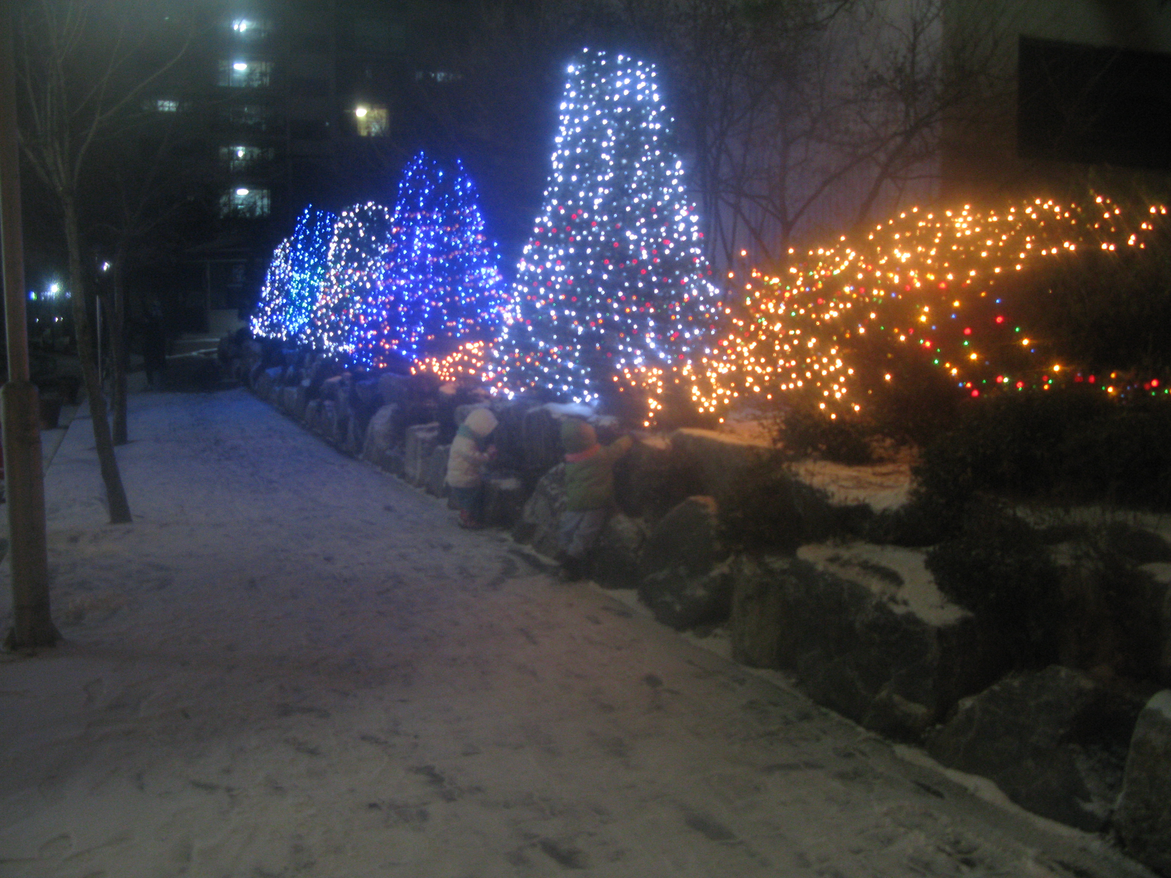 2009-12-25 오후 9-29-00_0082.JPG