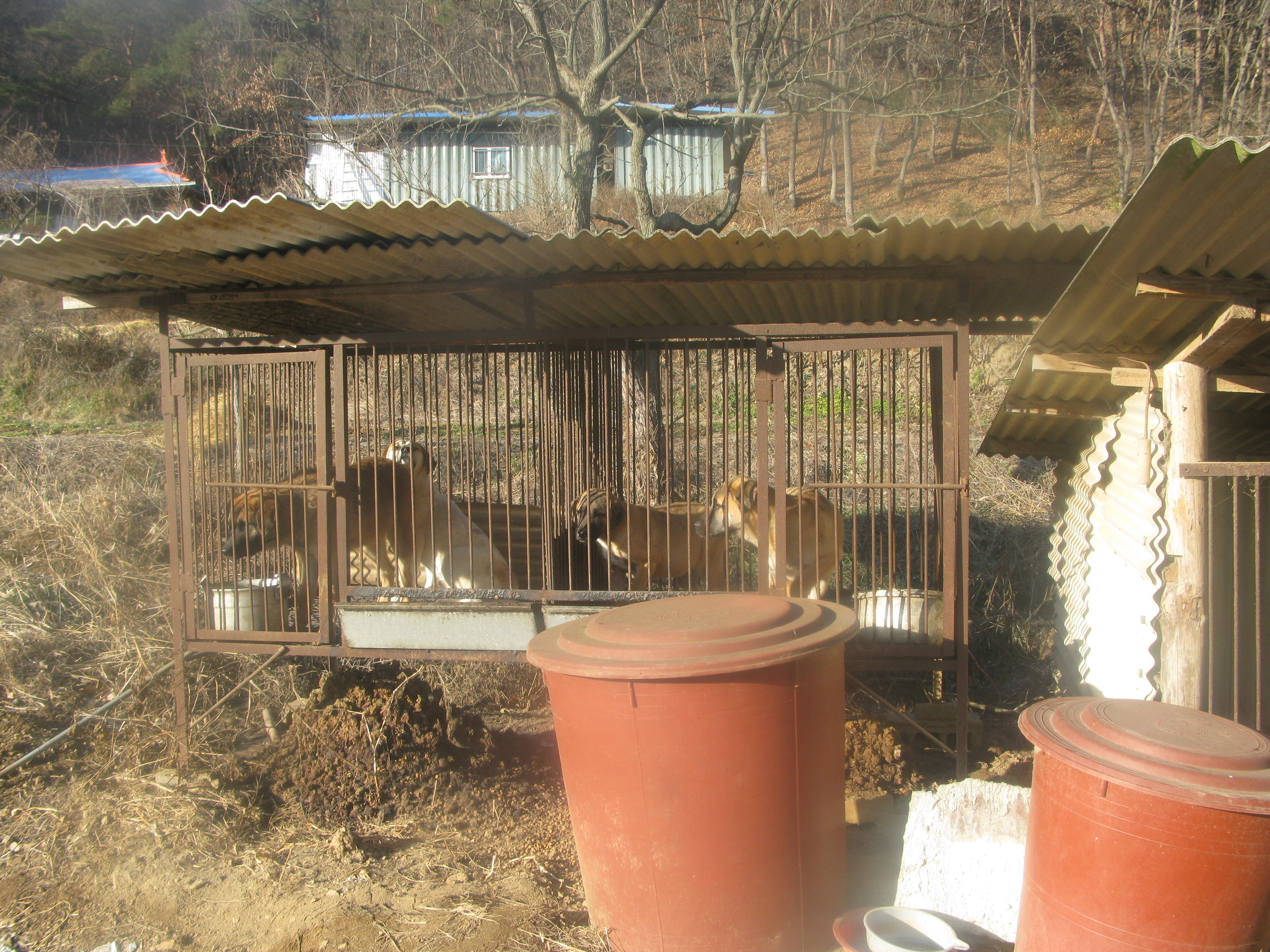 2009-12-26 오후 3-19-04_0095.JPG
