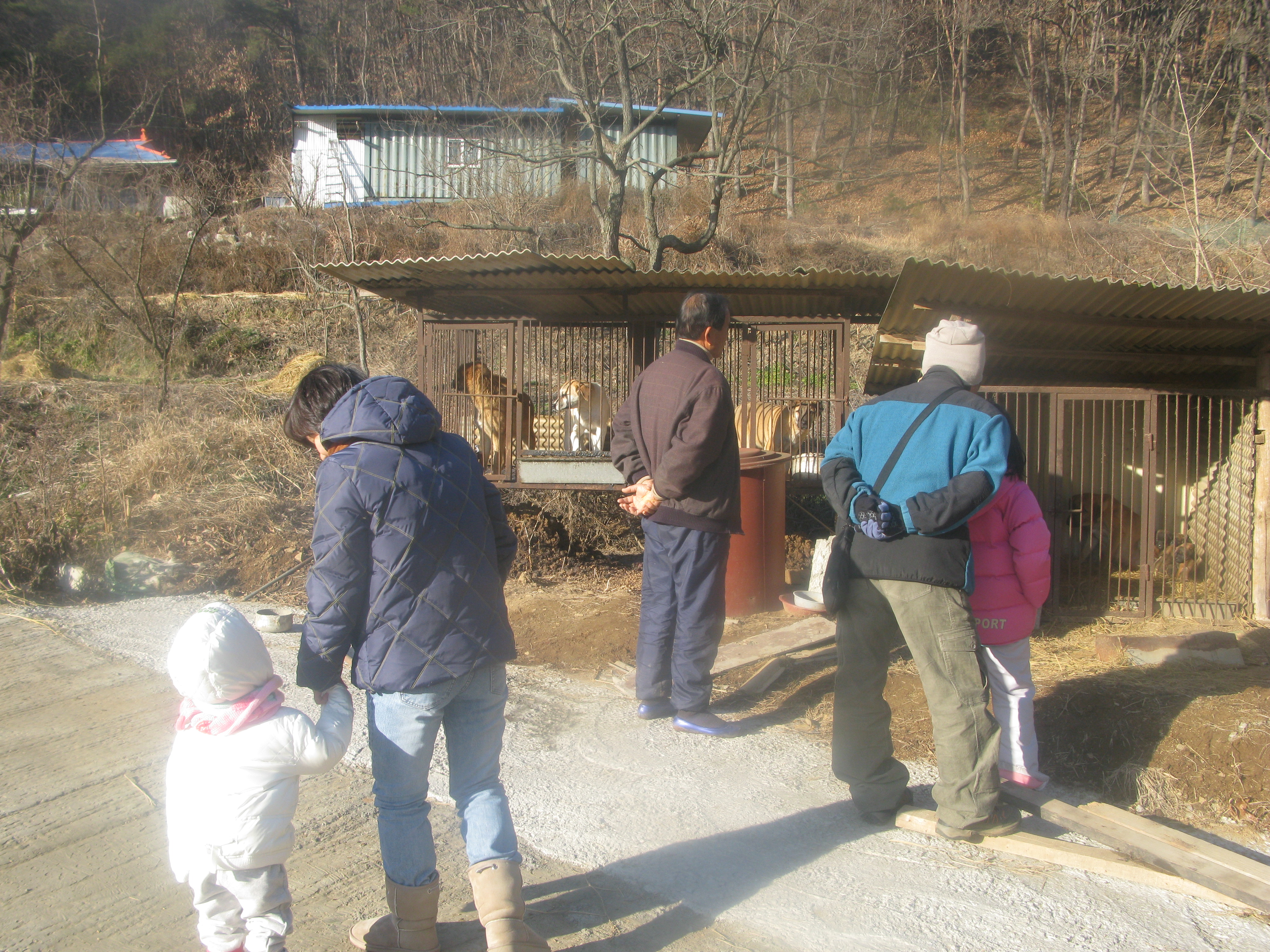 2009-12-26 오후 3-19-21_0097.JPG