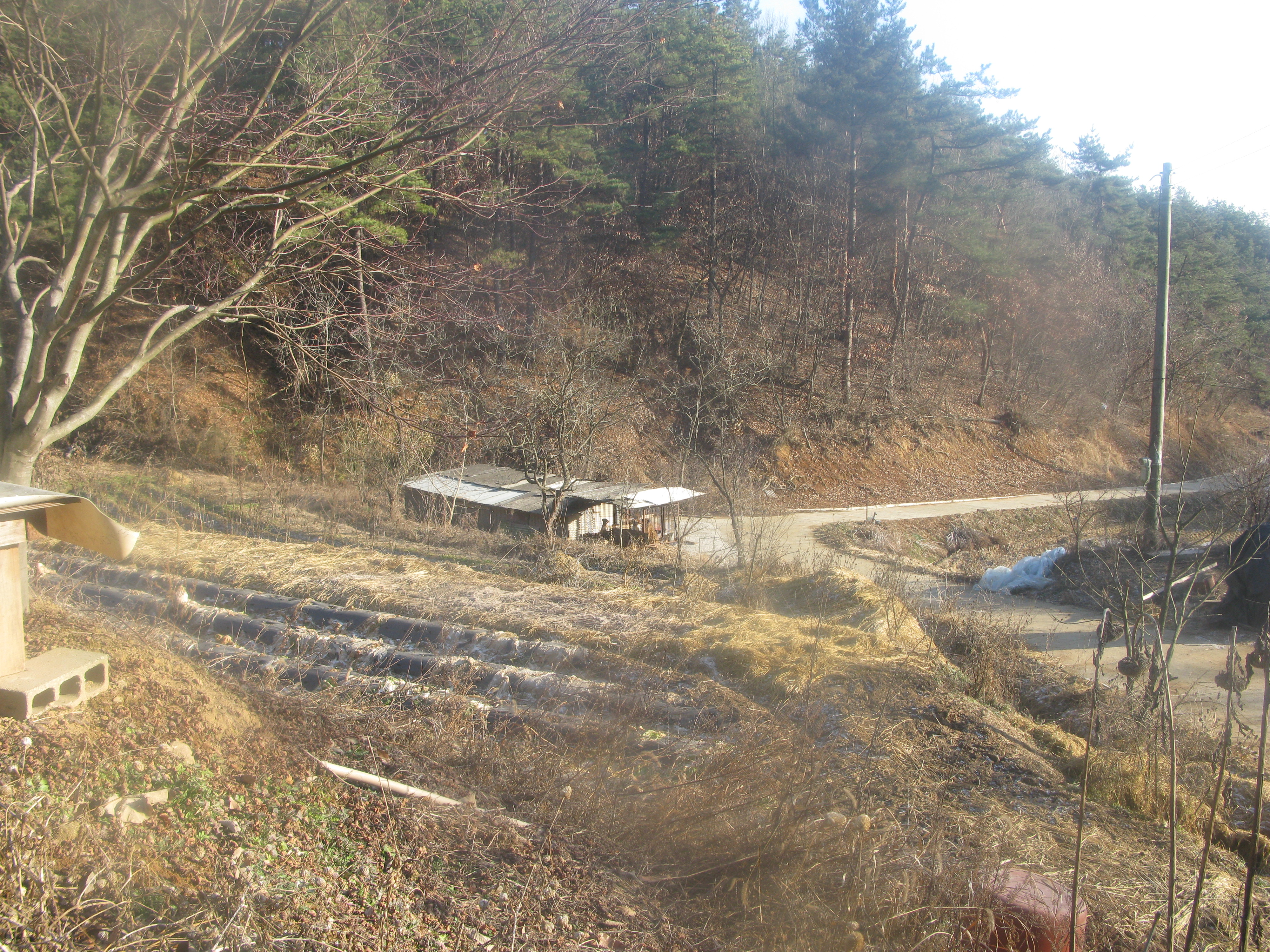 2009-12-26 오후 3-24-03_0101.JPG
