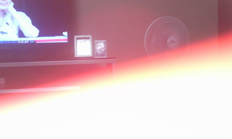 P100817002.jpg