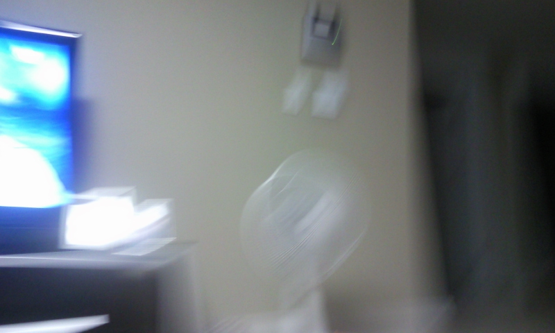 P100817005.jpg