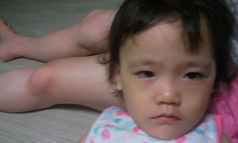 P100817009.jpg