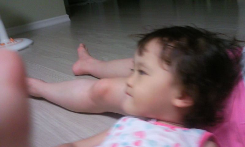 P100817011.jpg