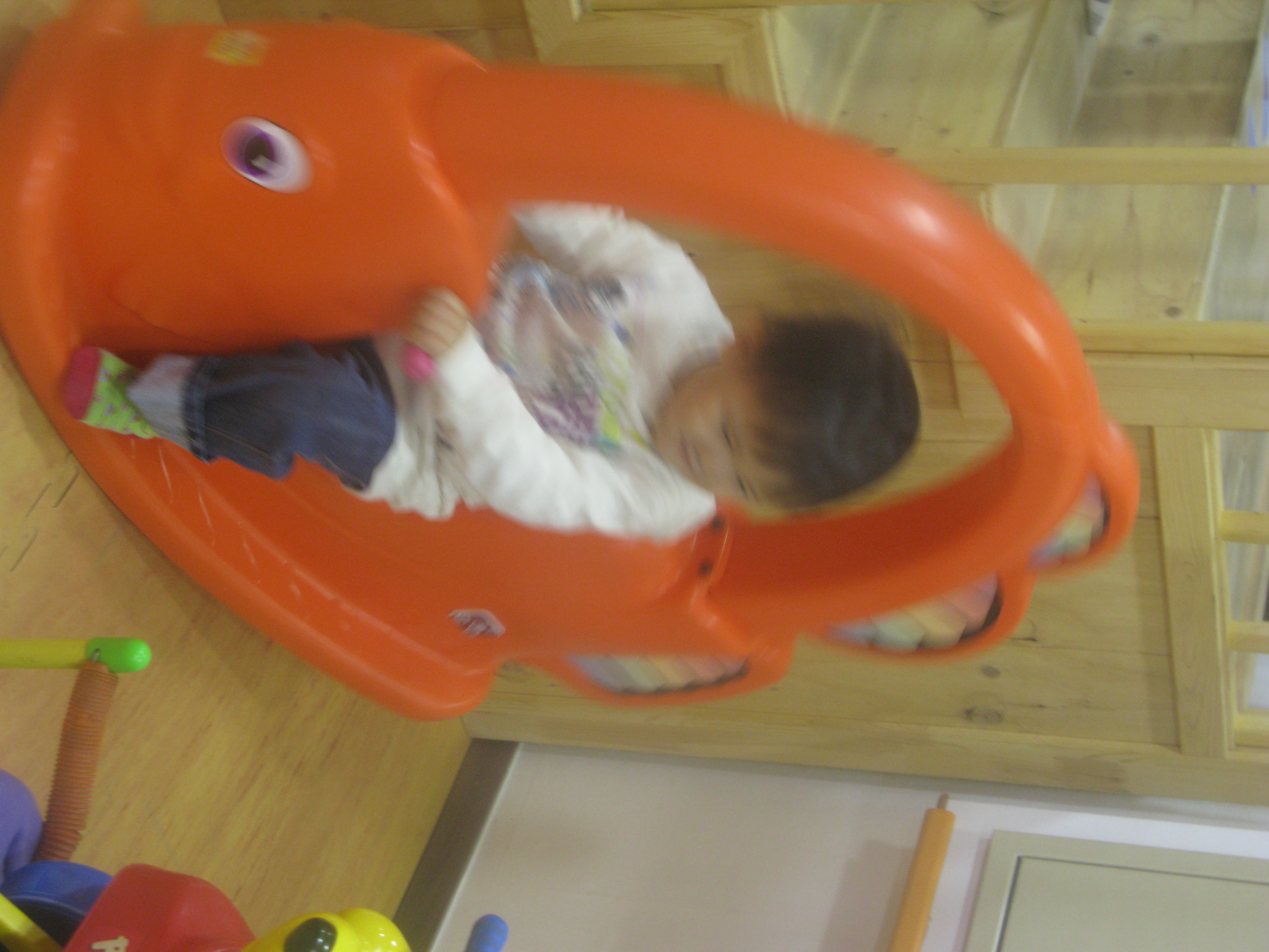 2010-01-03 오후 3-03-30_0207.JPG