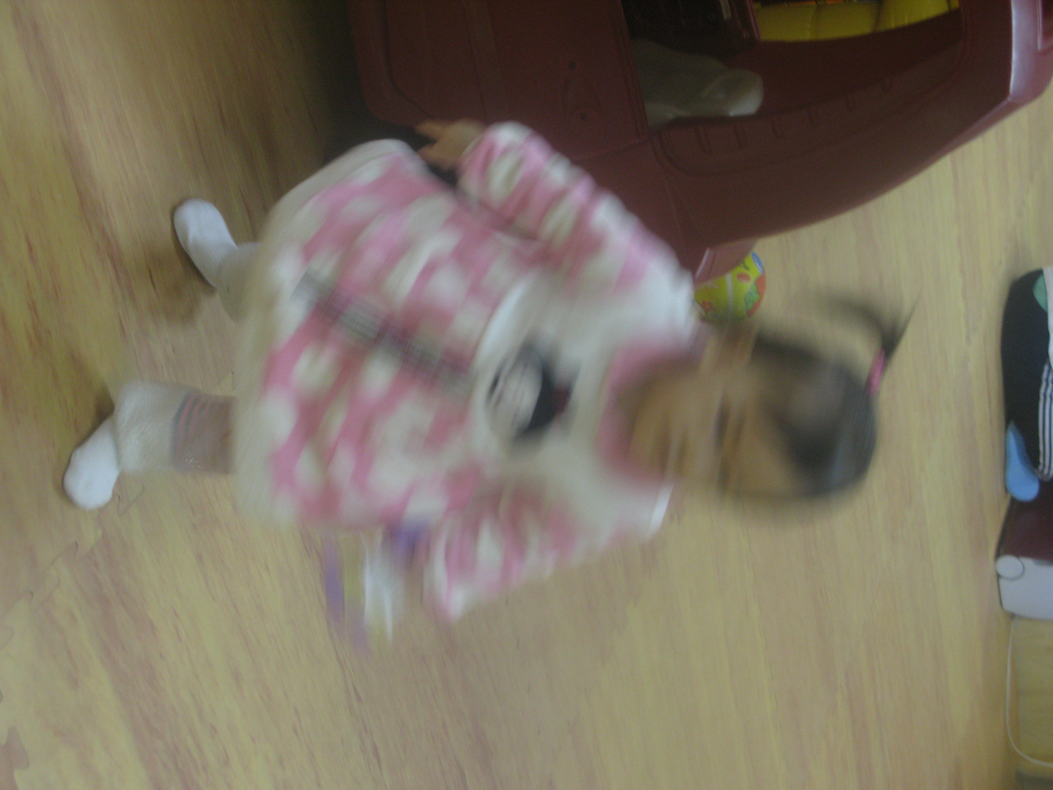 2010-01-03 오후 3-03-35_0208.JPG