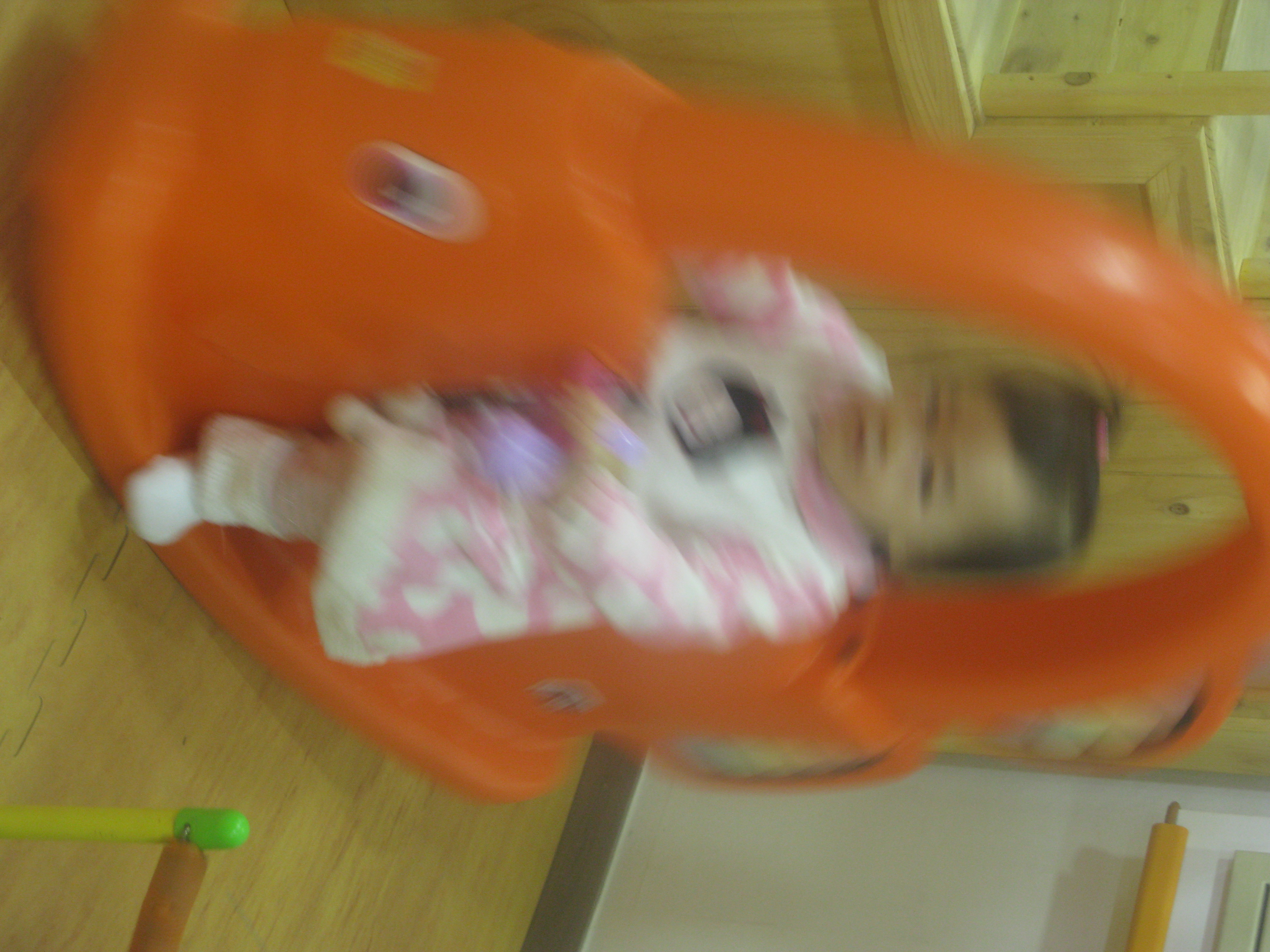 2010-01-03 오후 3-03-48_0209.JPG