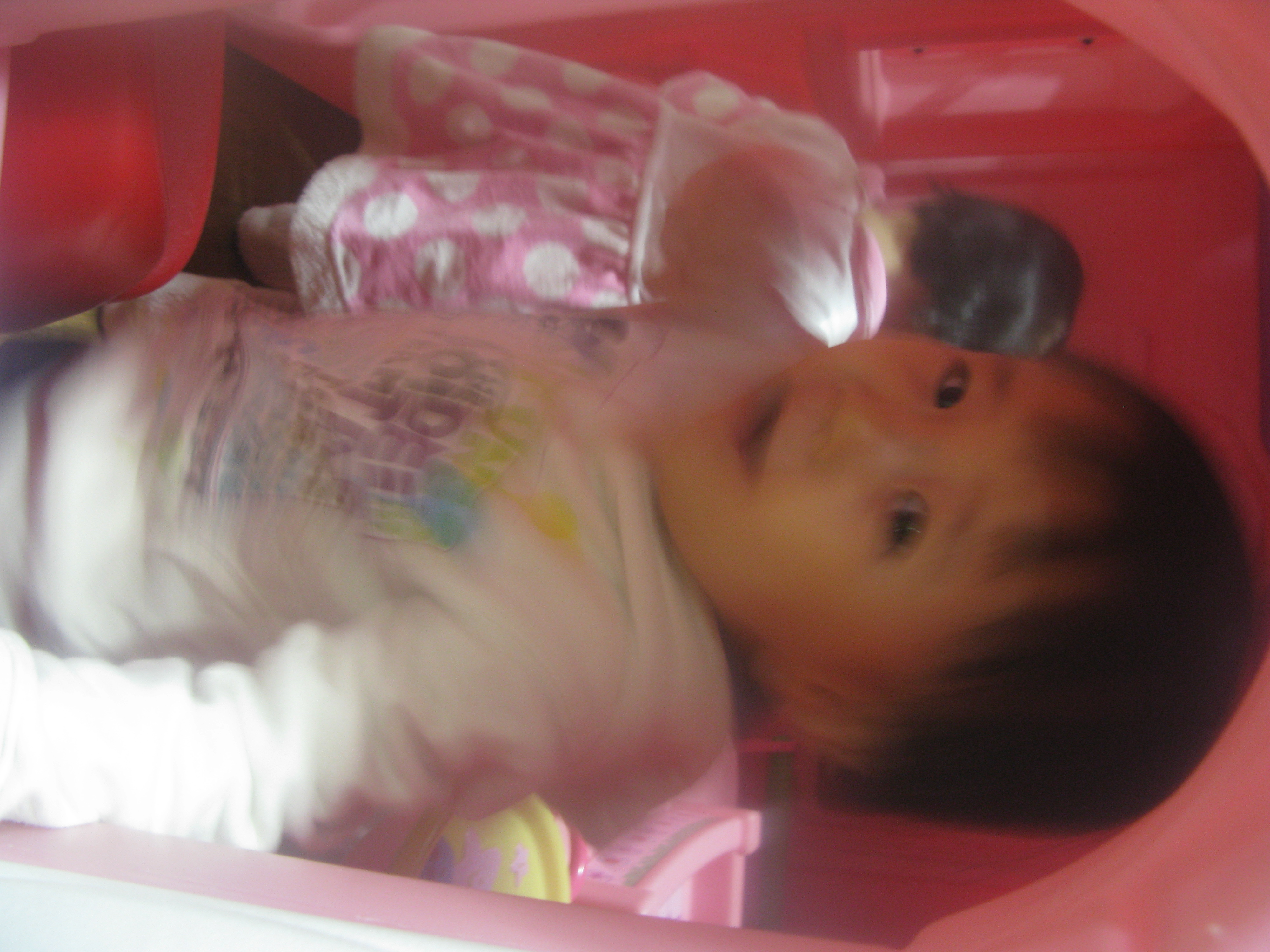 2010-01-03 오후 3-16-09_0216.JPG