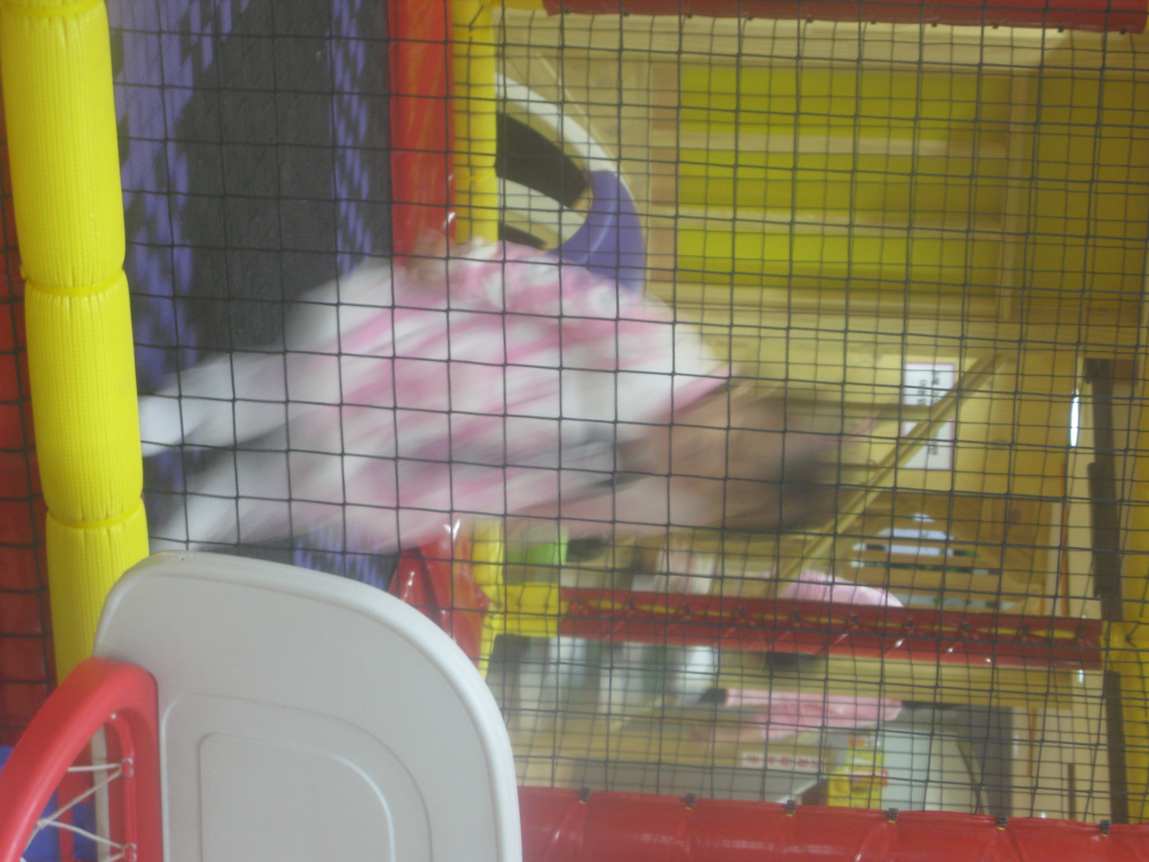 2010-01-03 오후 4-39-20_0294.JPG