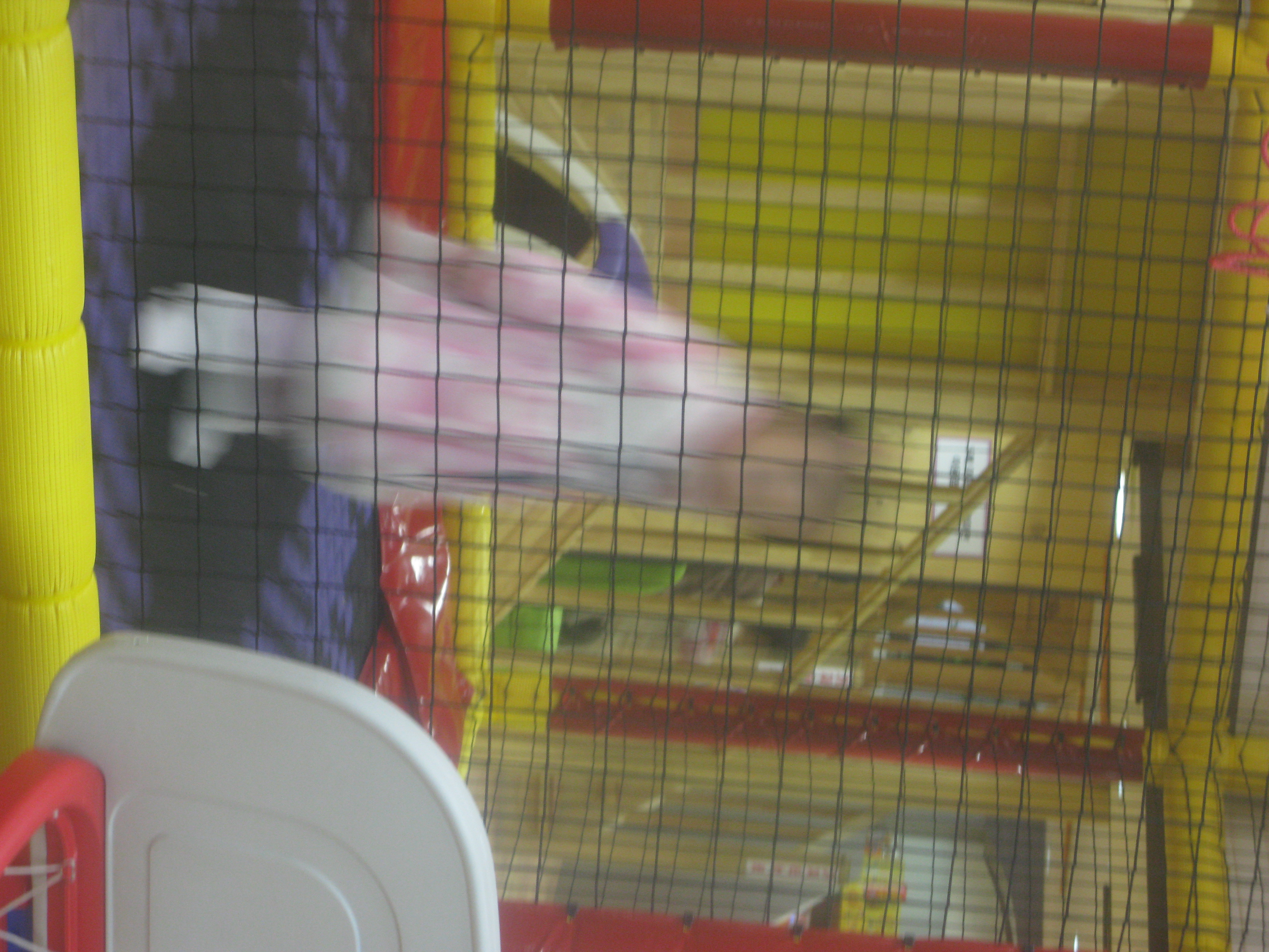 2010-01-03 오후 4-39-25_0295.JPG