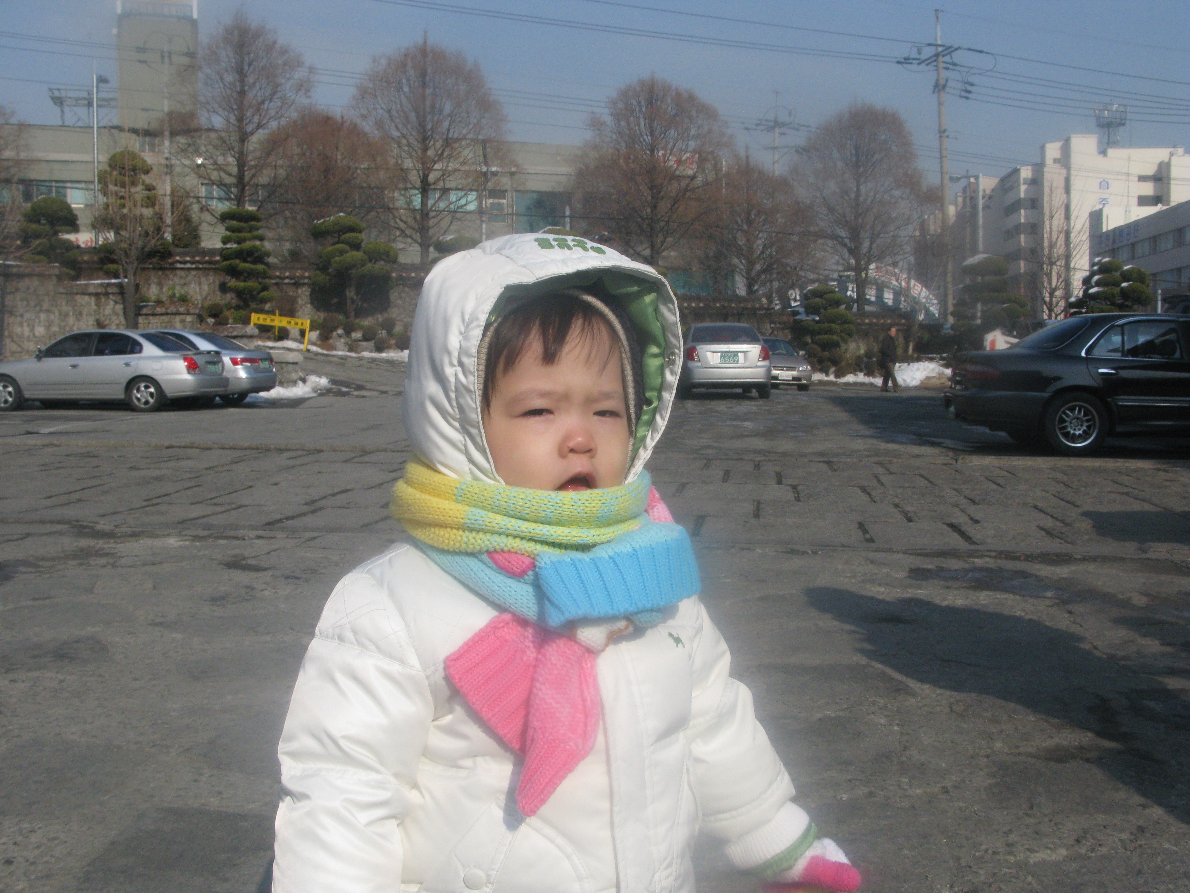 2010-01-17 오후 1-19-03_0324.JPG