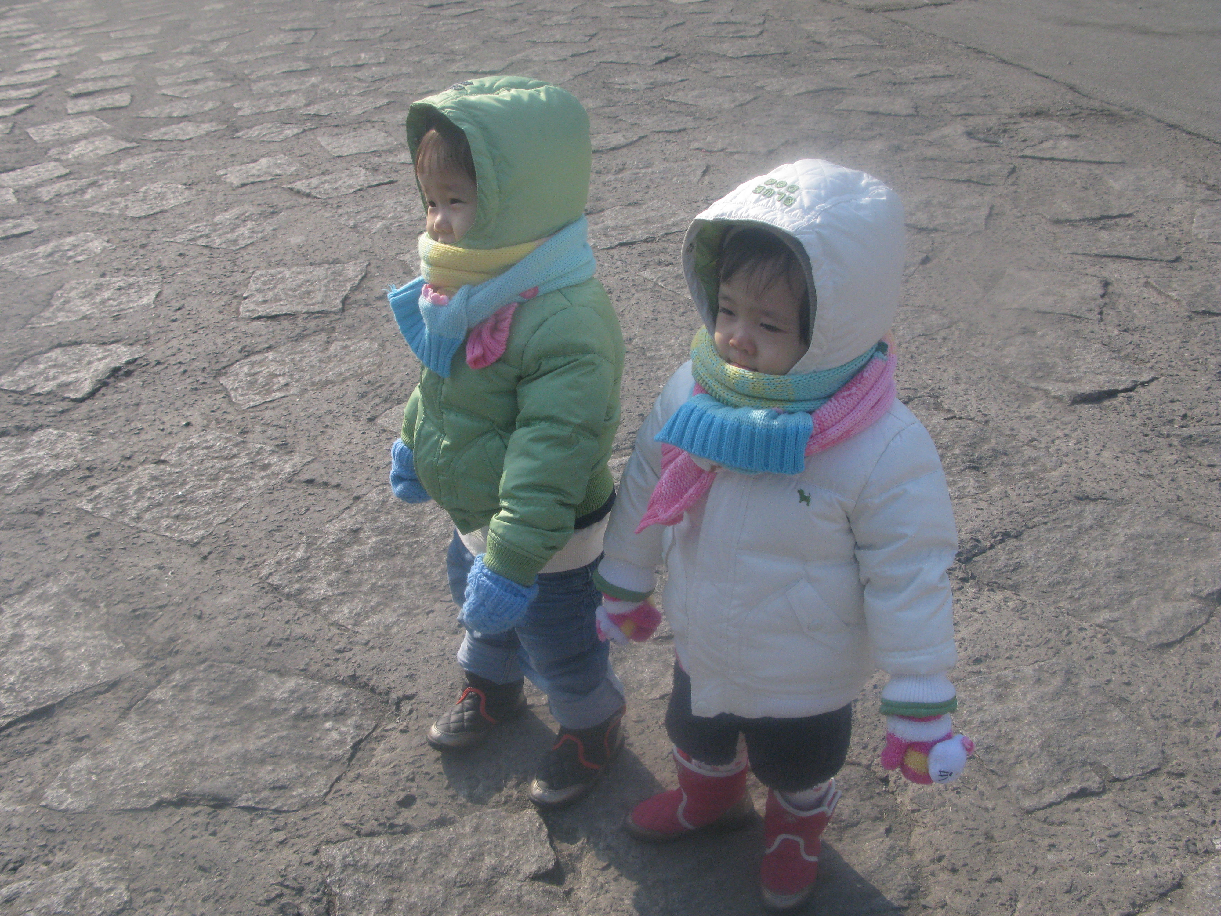 2010-01-17 오후 1-19-31_0328.JPG