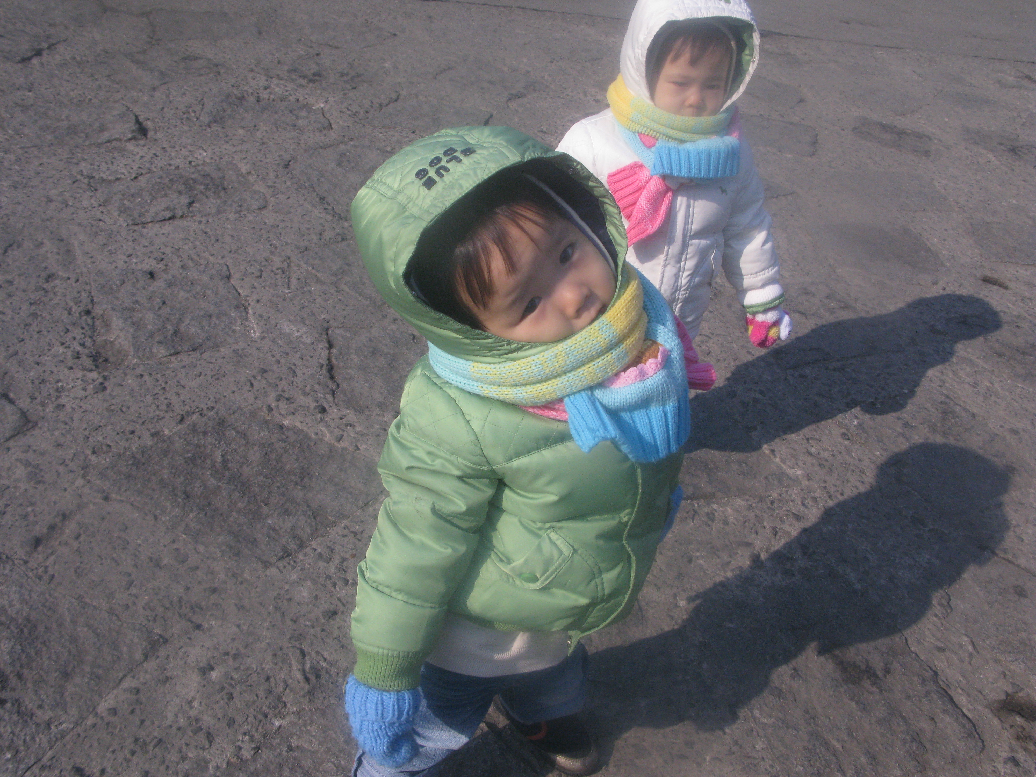 2010-01-17 오후 1-19-55_0330.JPG