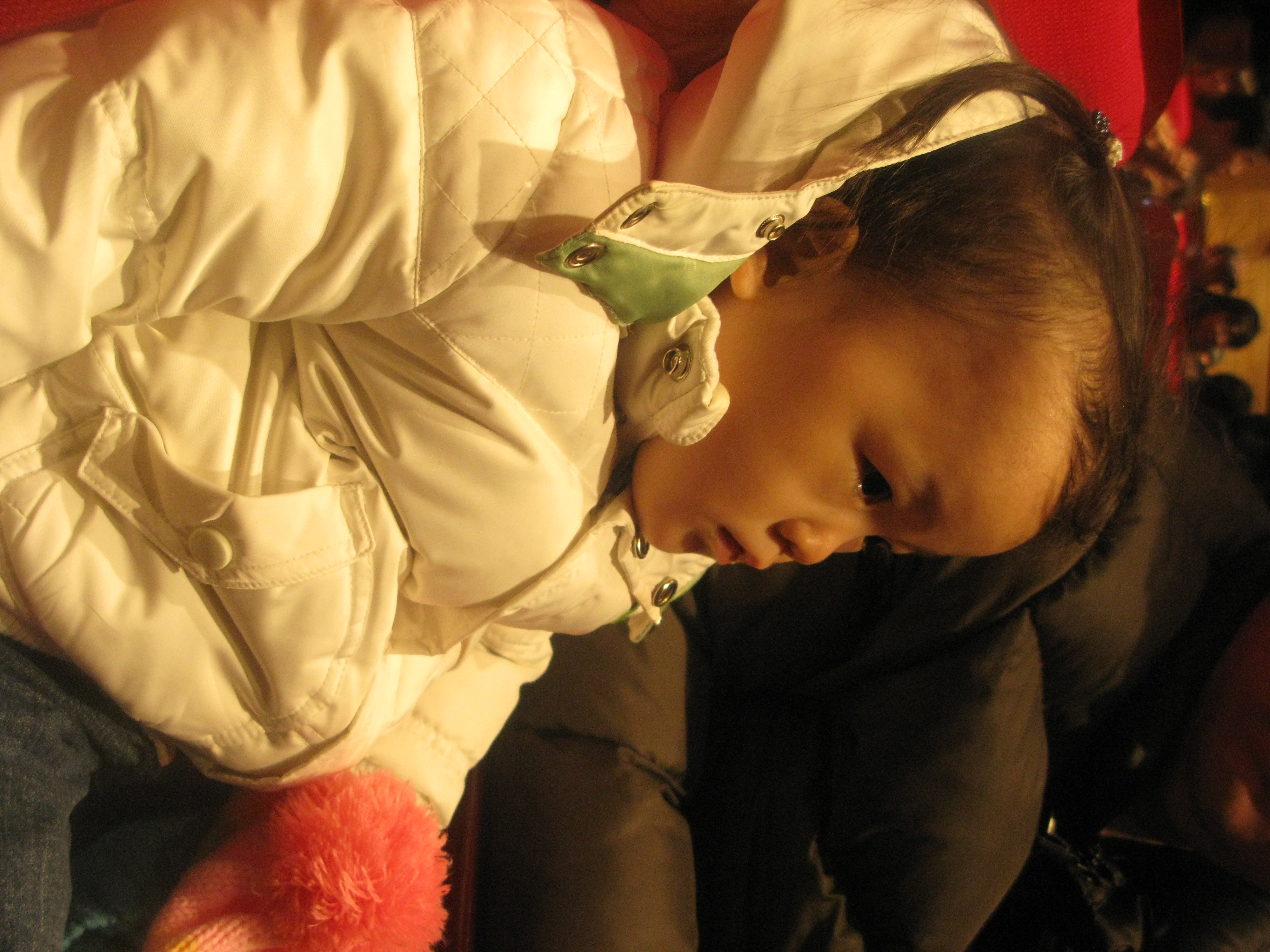2010-01-23 오후 1-49-02_0361.JPG