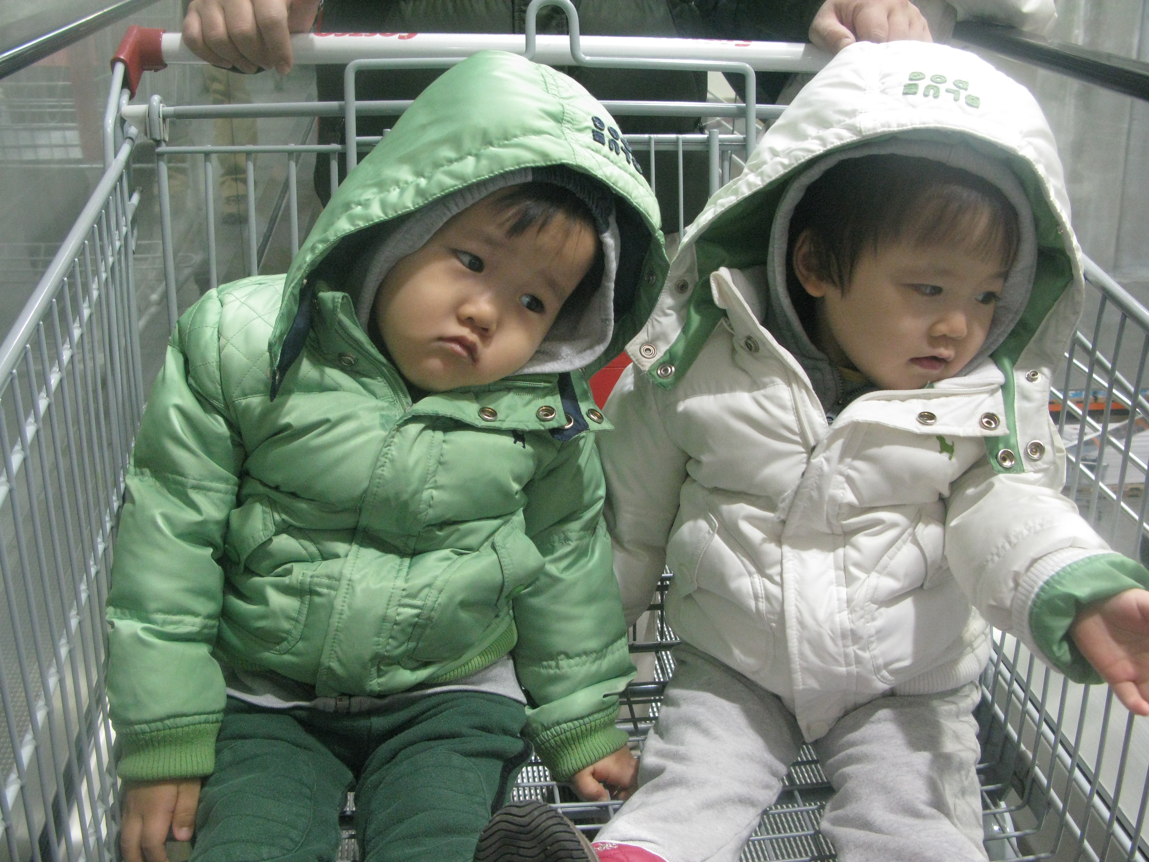 2010-01-24 오후 1-36-24_0375.JPG