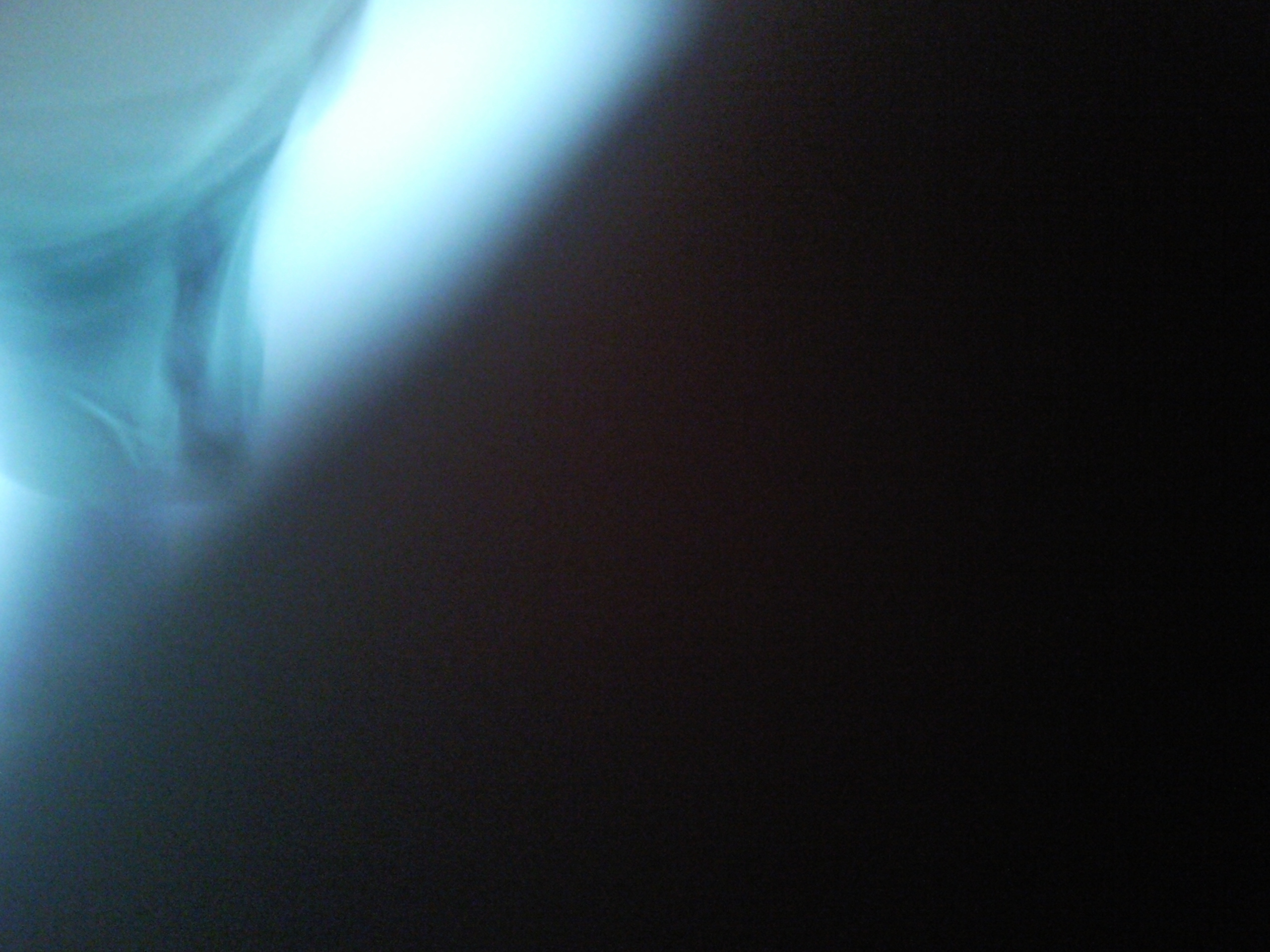 042.jpg