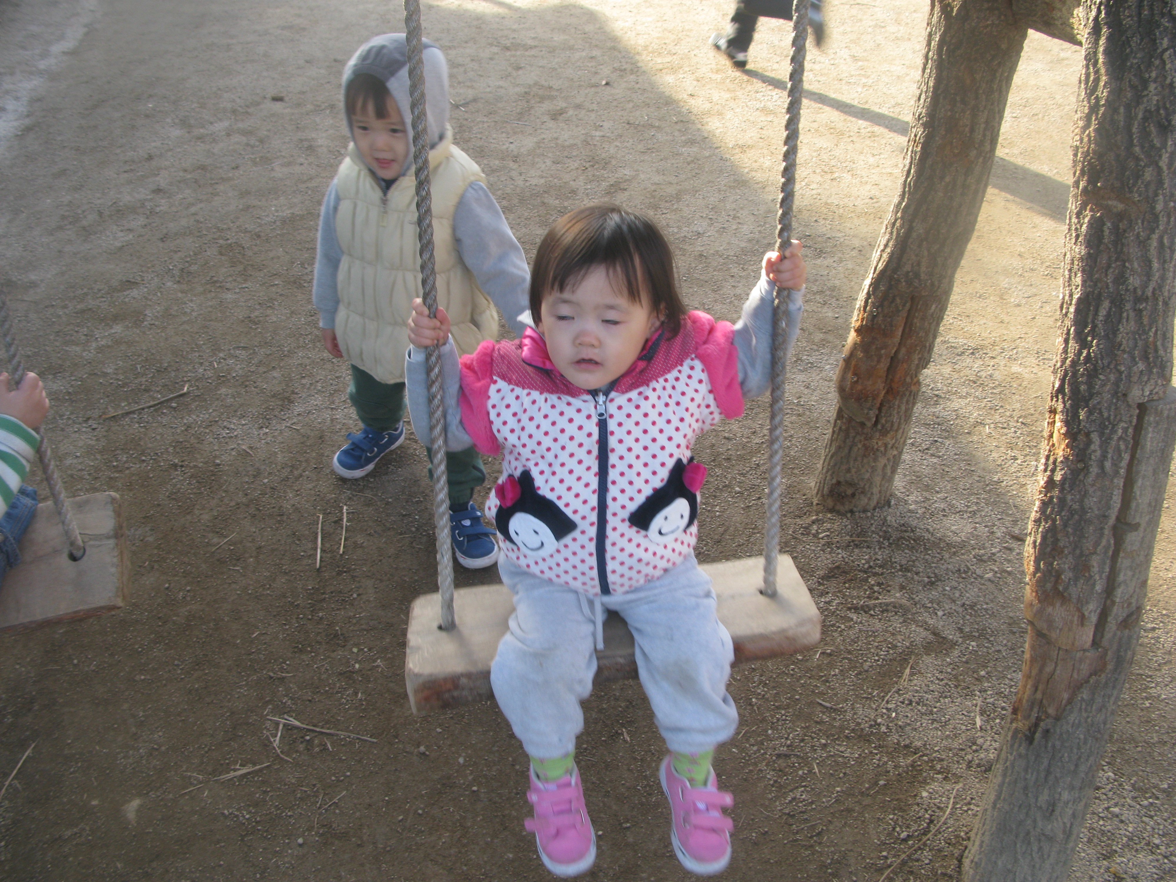 IMG_2561.JPG