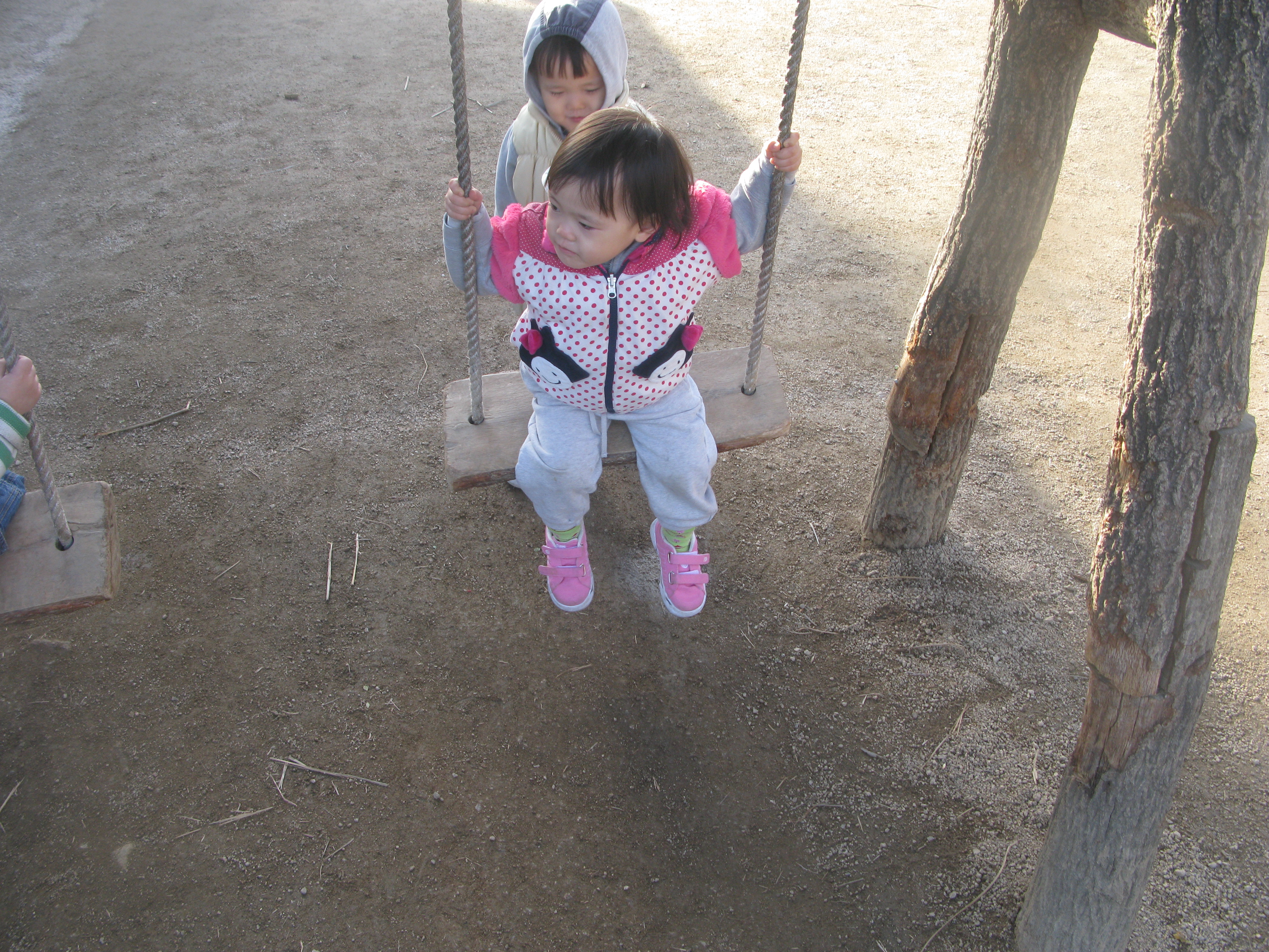 IMG_2562.JPG