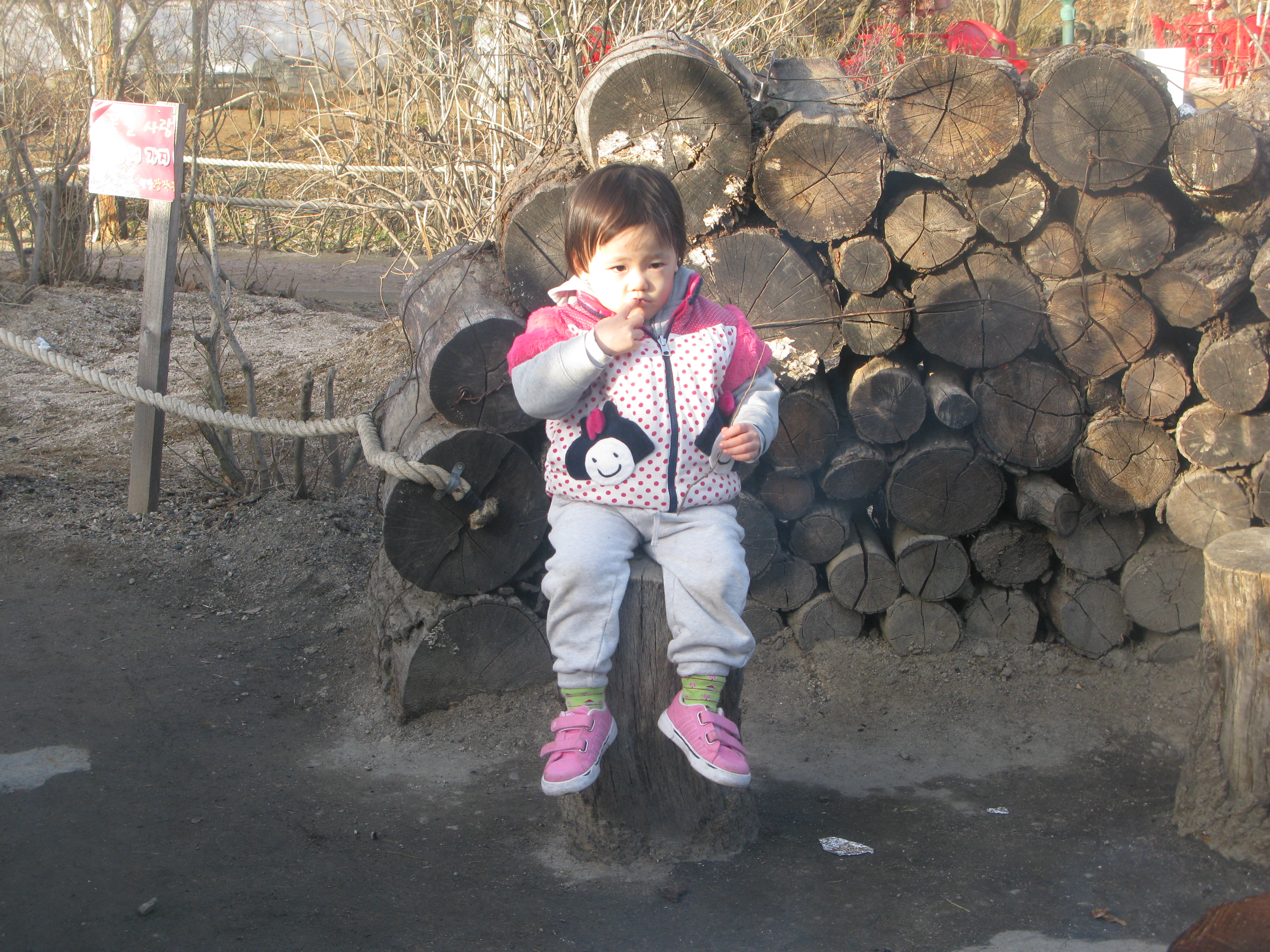 IMG_2568.JPG
