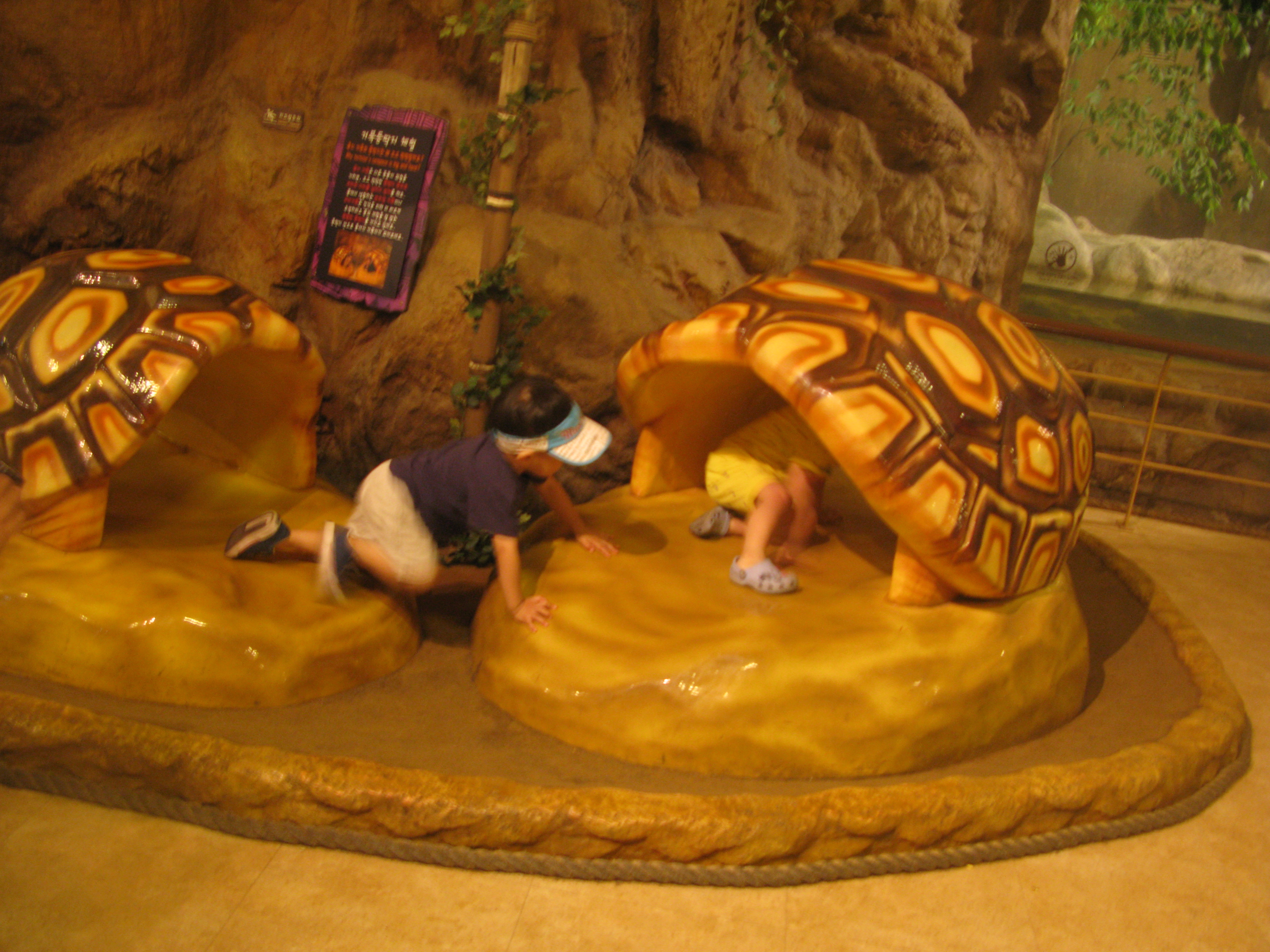 2010-06-20 오후 4-13-52.JPG