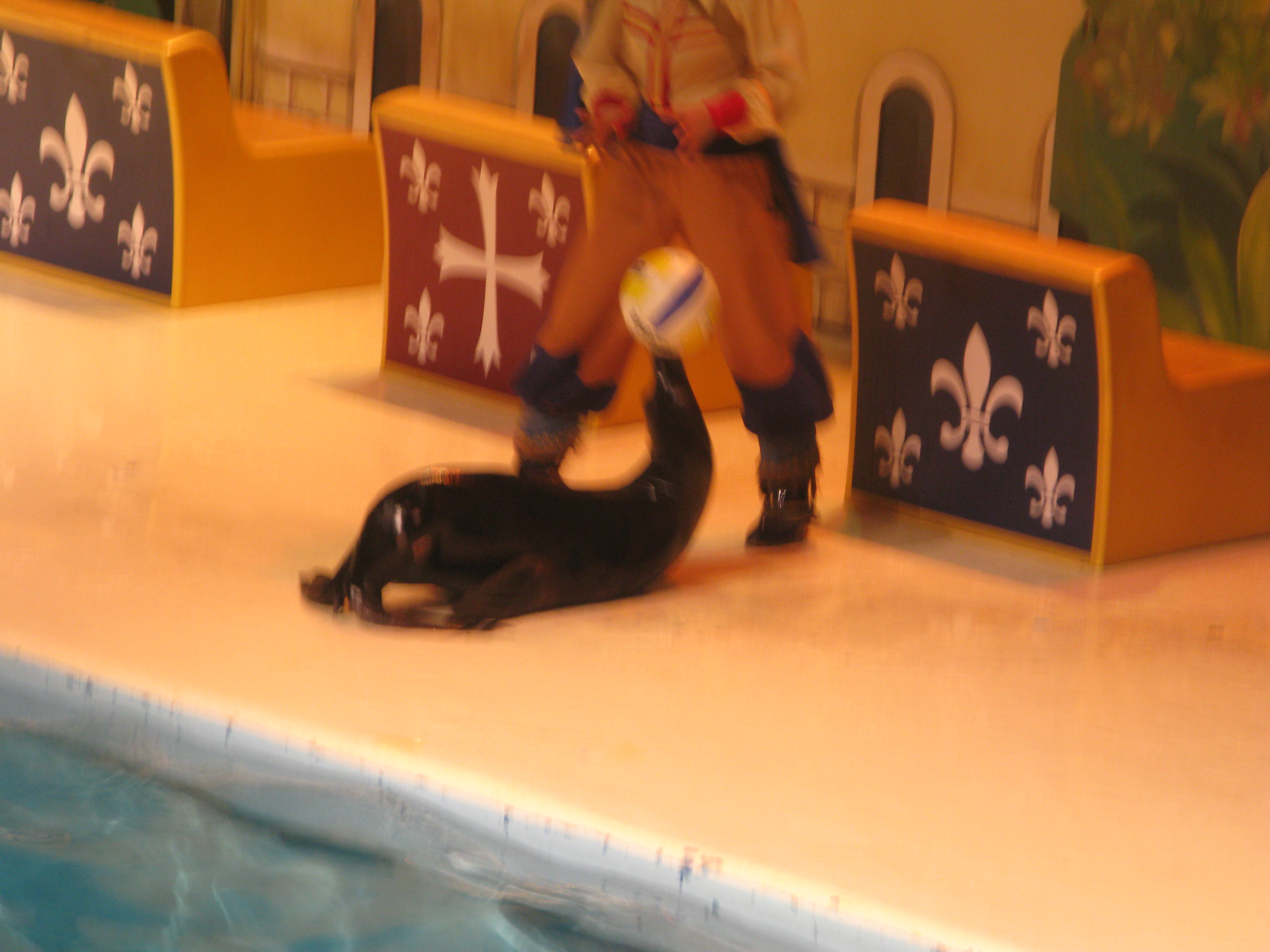 2010-06-20 오후 4-58-05.JPG