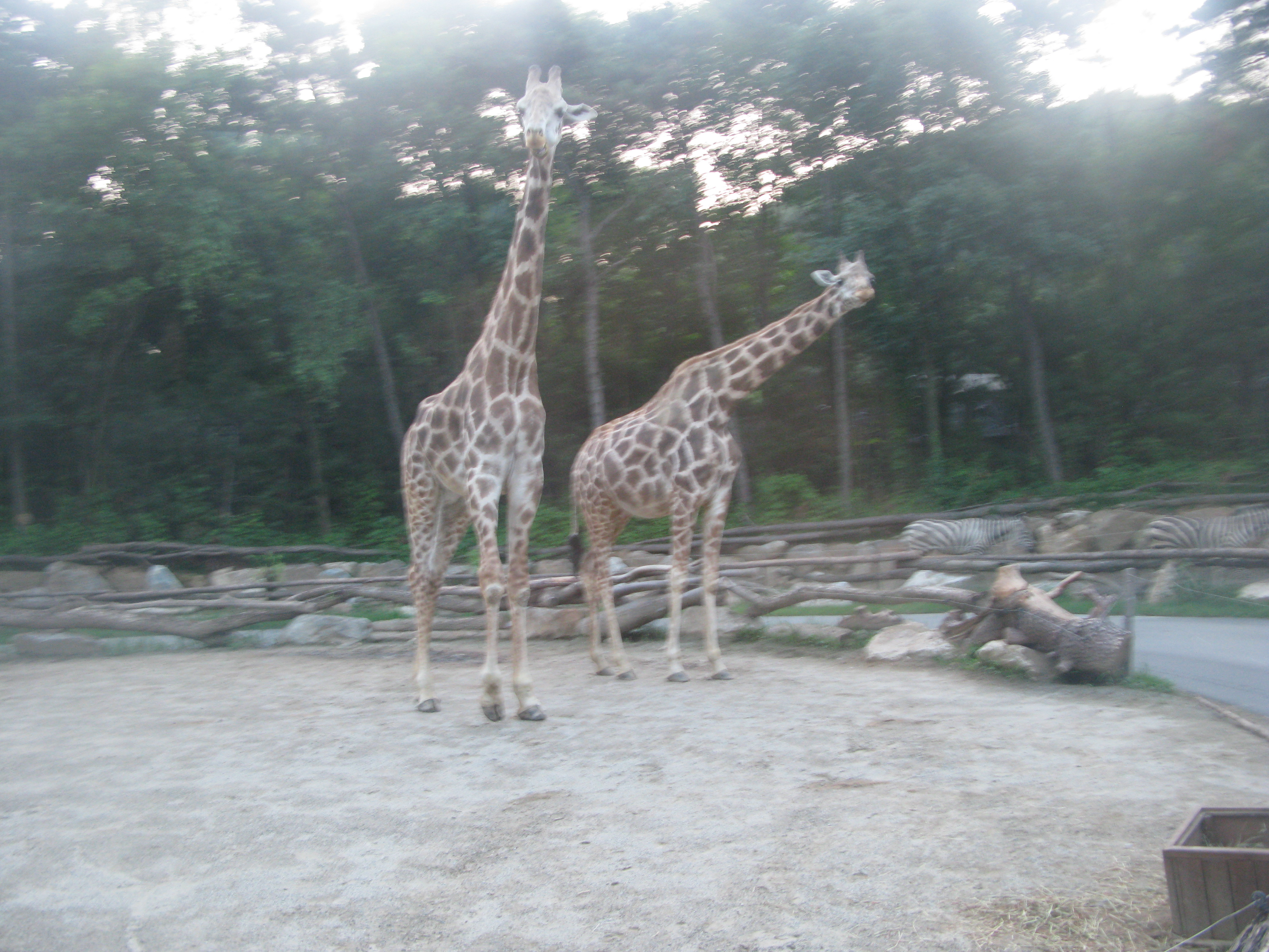 2010-06-20 오후 7-34-20.JPG