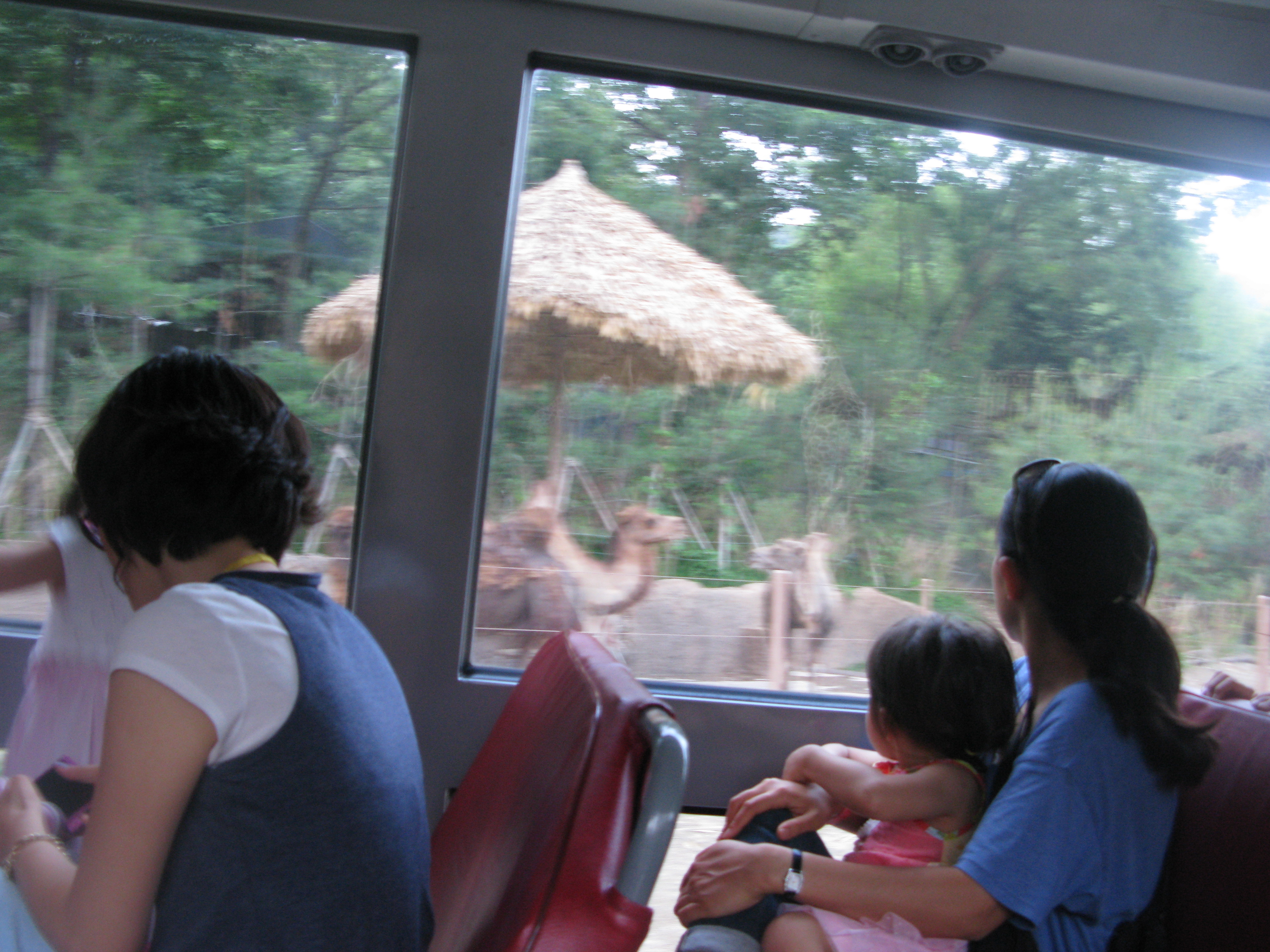 2010-06-20 오후 7-34-29.JPG
