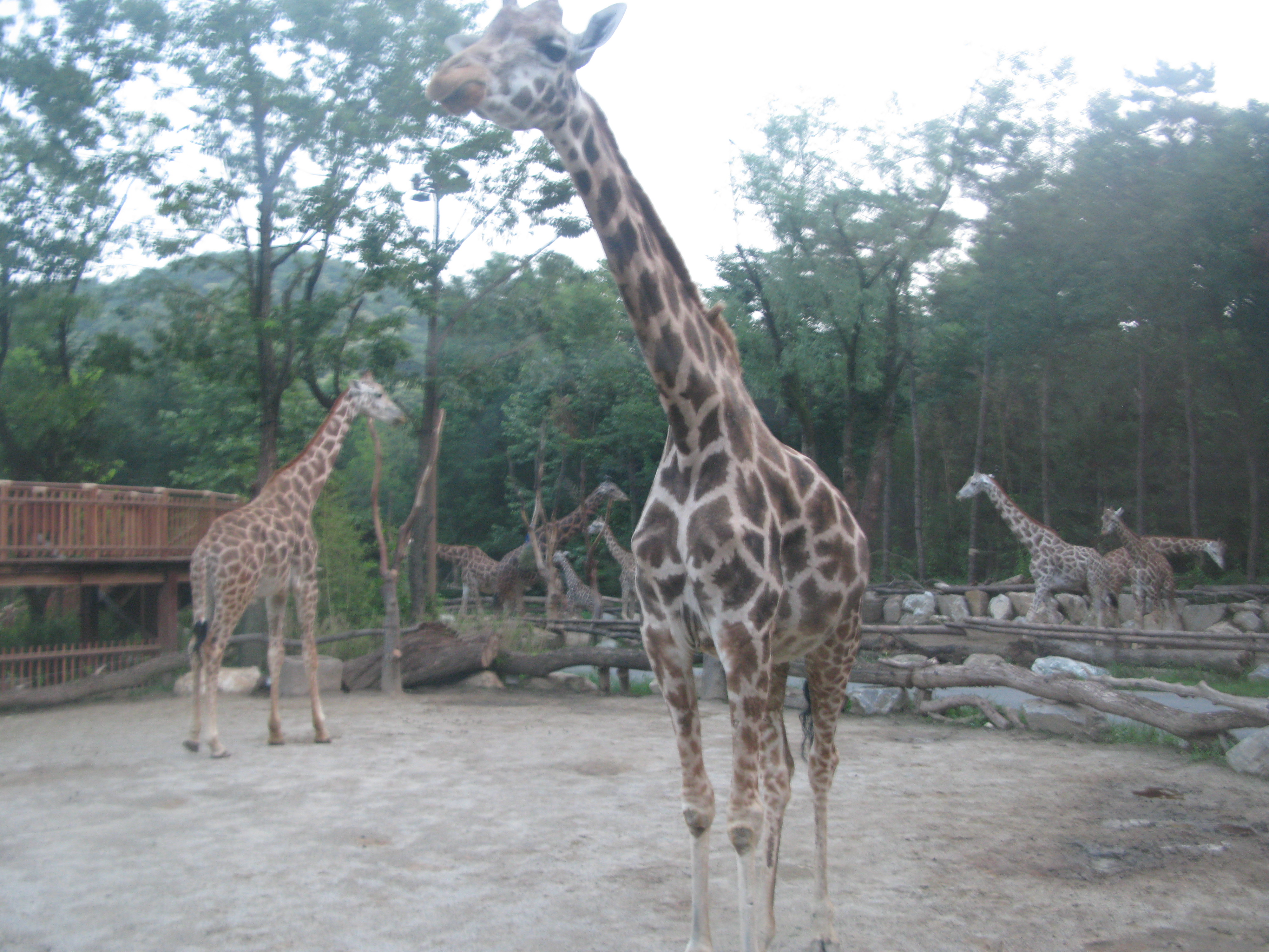 2010-06-20 오후 7-34-33.JPG