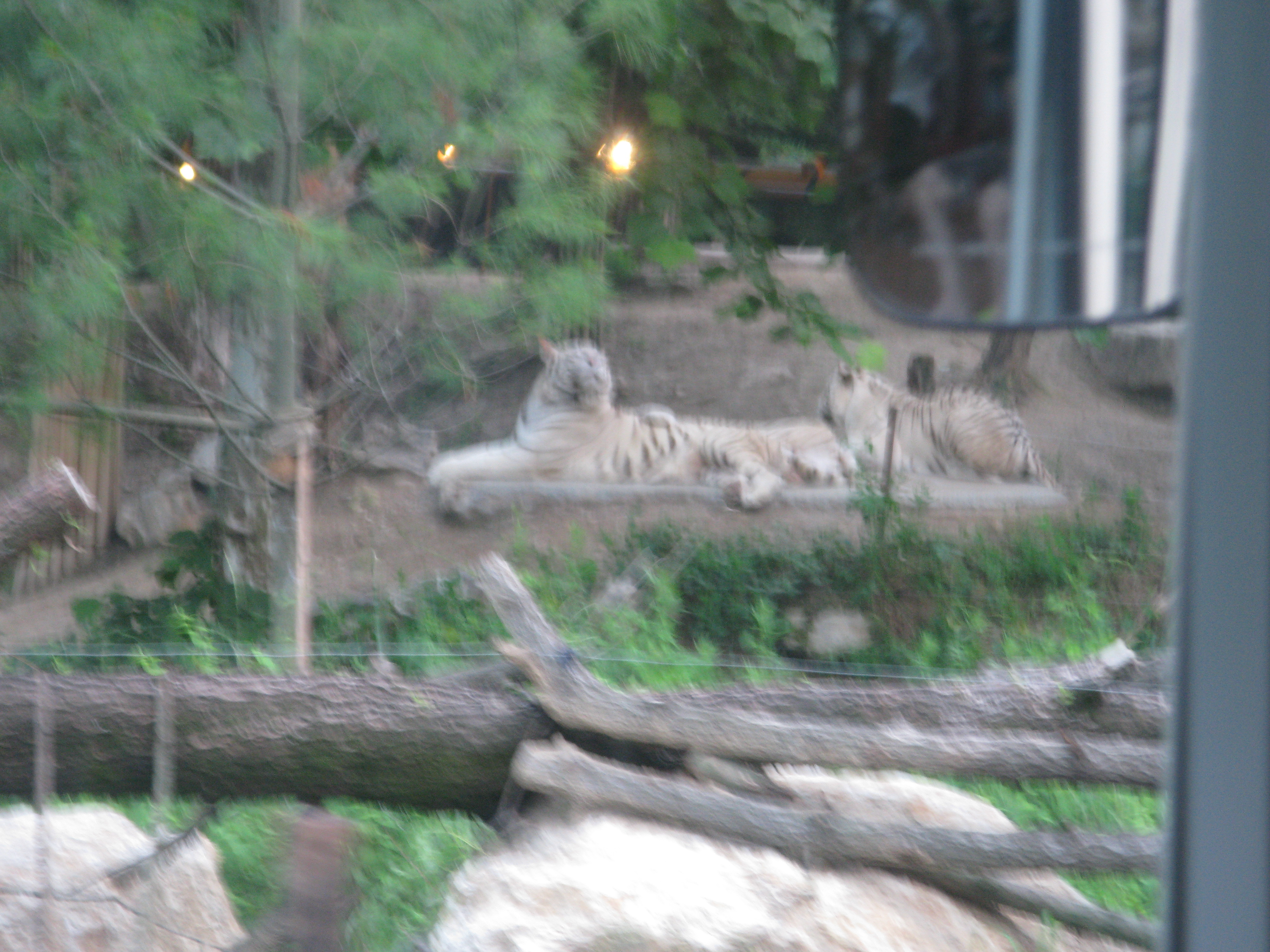 2010-06-20 오후 7-35-33.JPG
