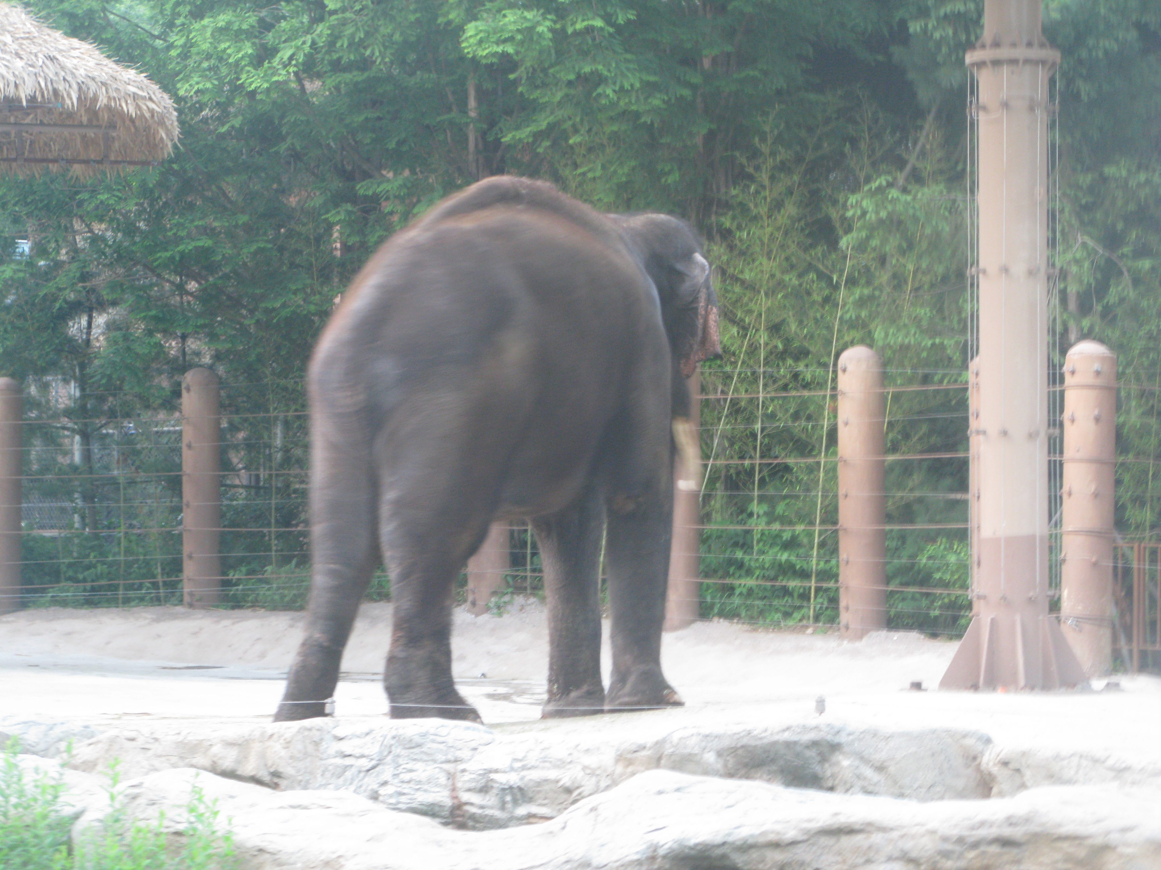 2010-06-20 오후 7-35-59.JPG