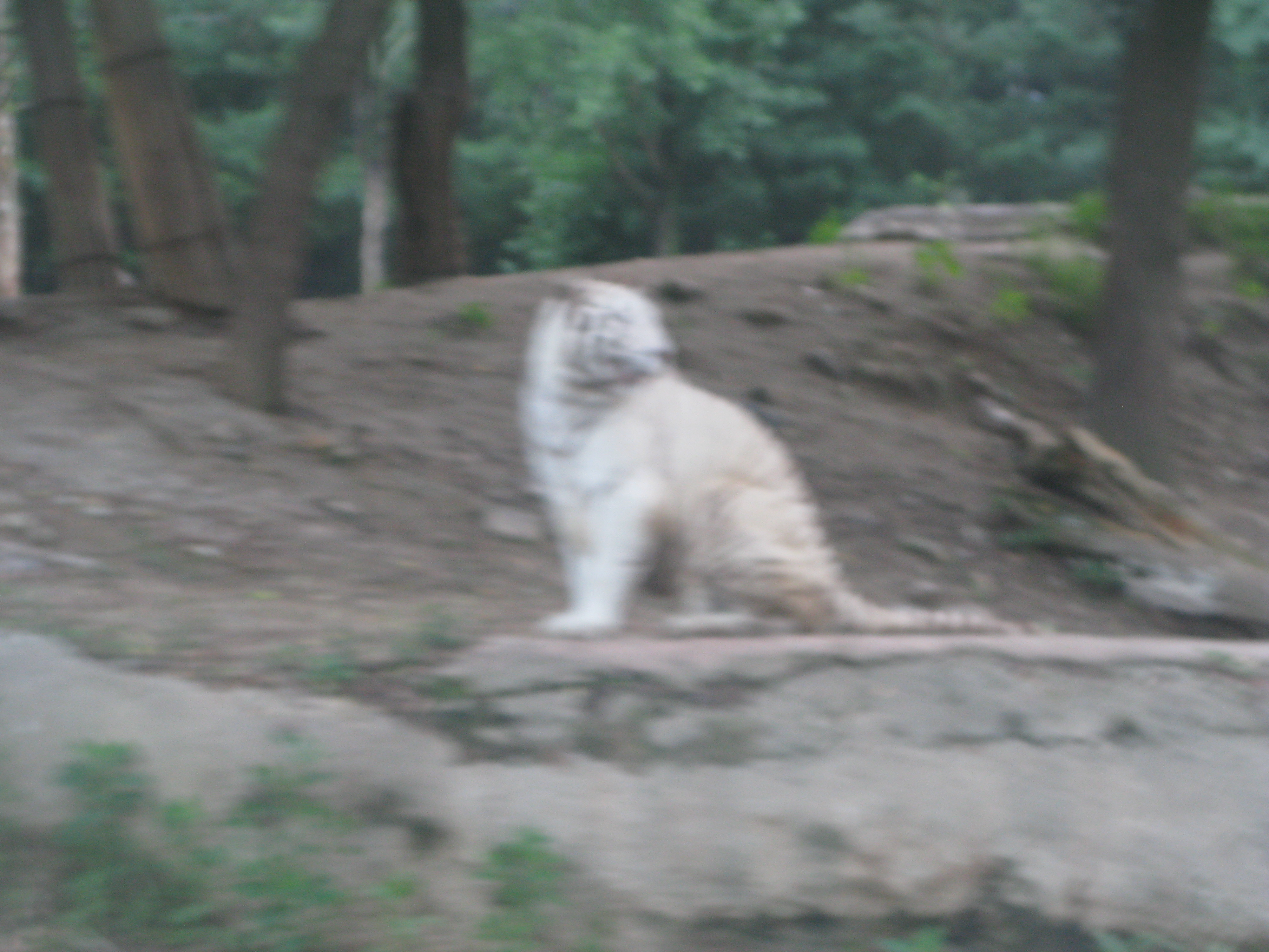 2010-06-20 오후 7-37-17.JPG