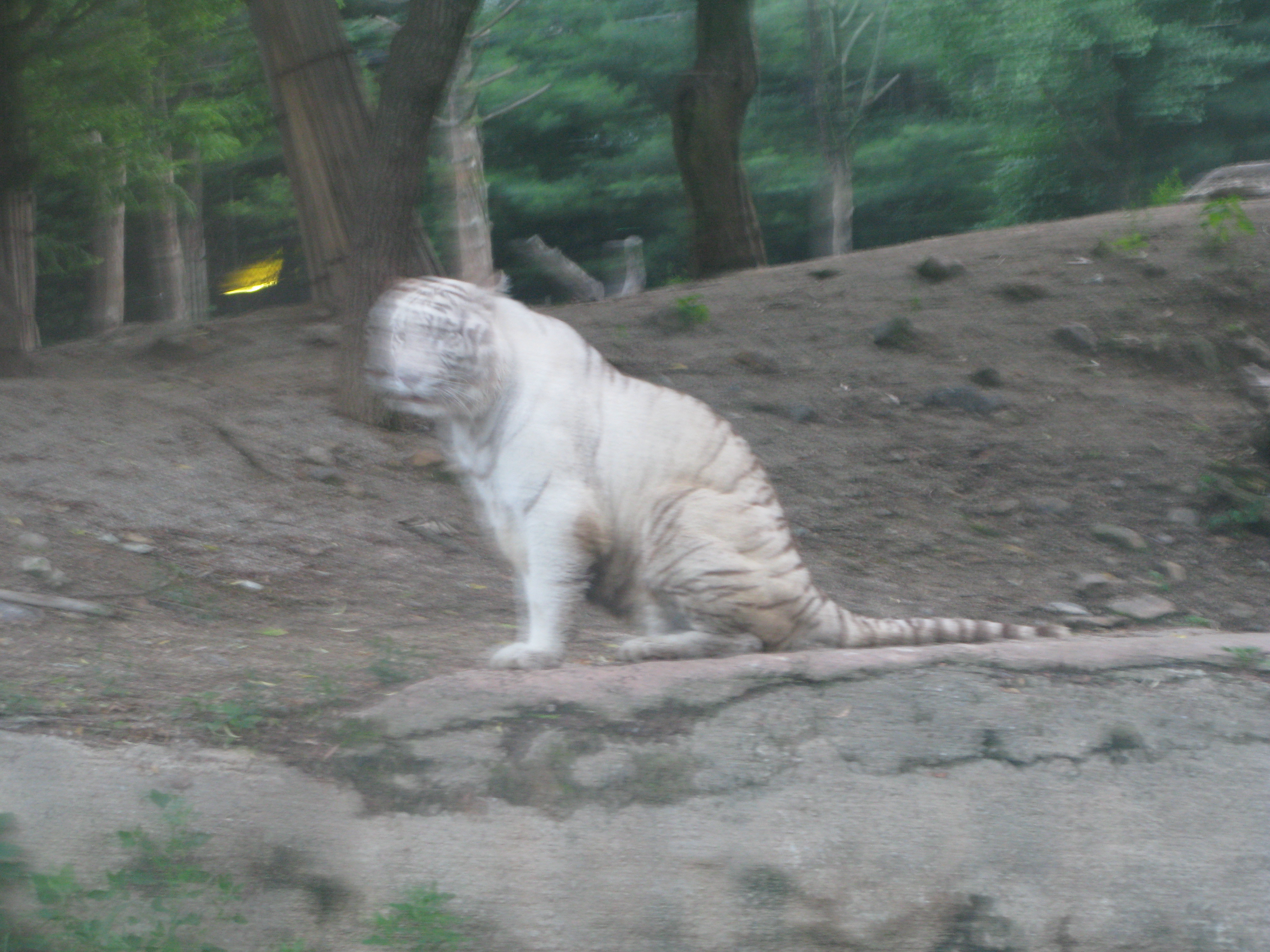 2010-06-20 오후 7-37-19.JPG