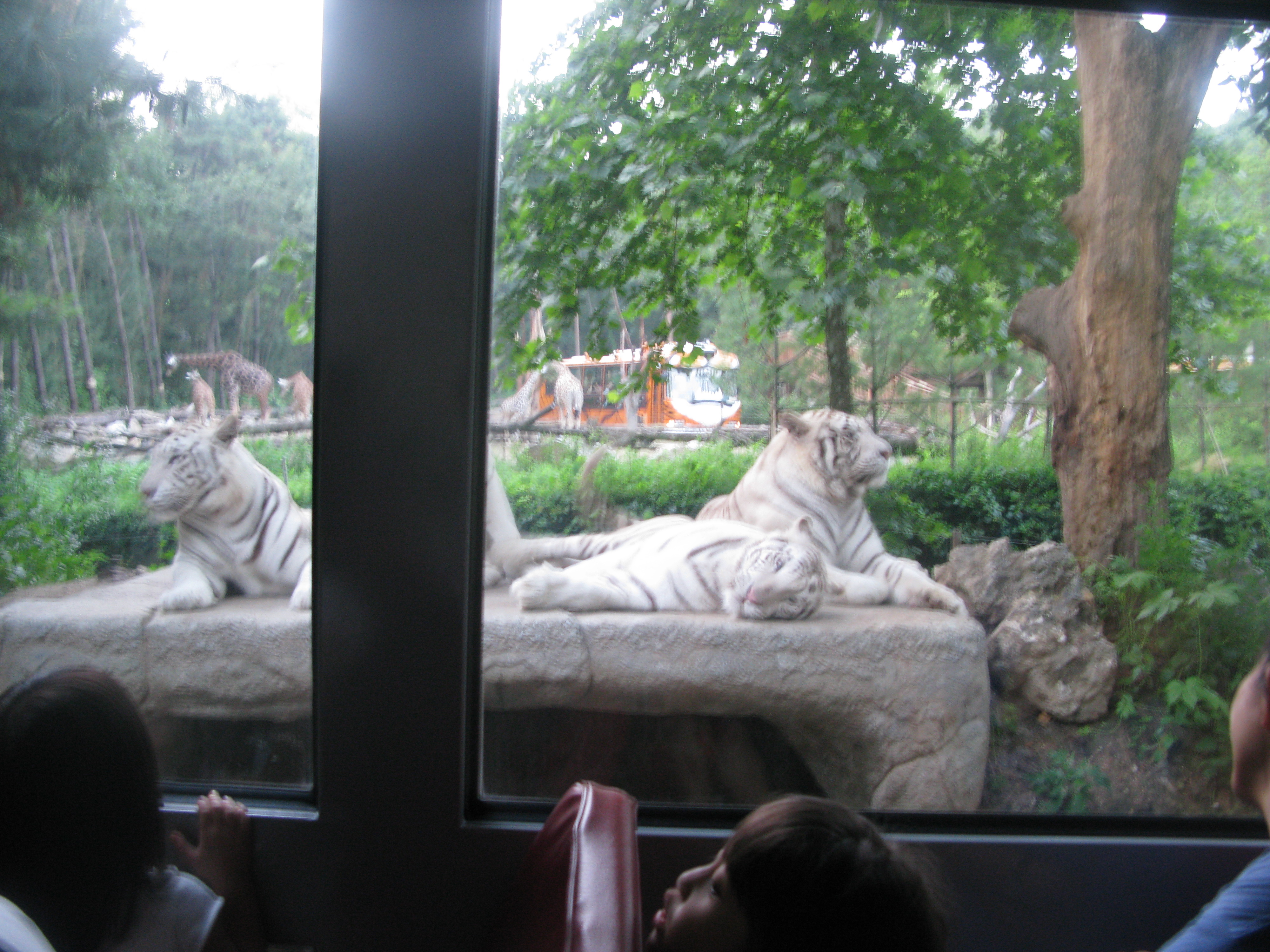 2010-06-20 오후 7-37-36.JPG