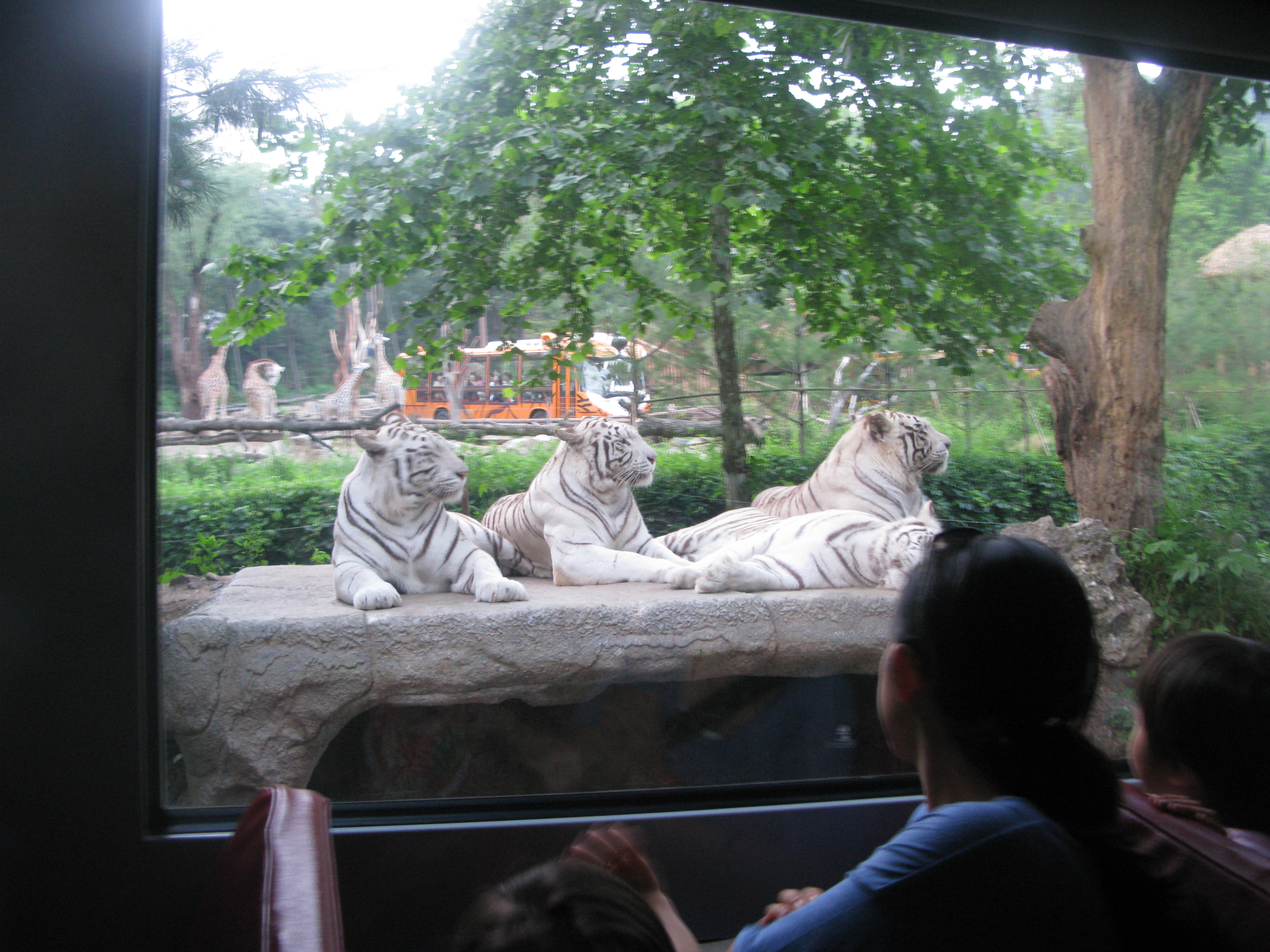 2010-06-20 오후 7-37-41.JPG