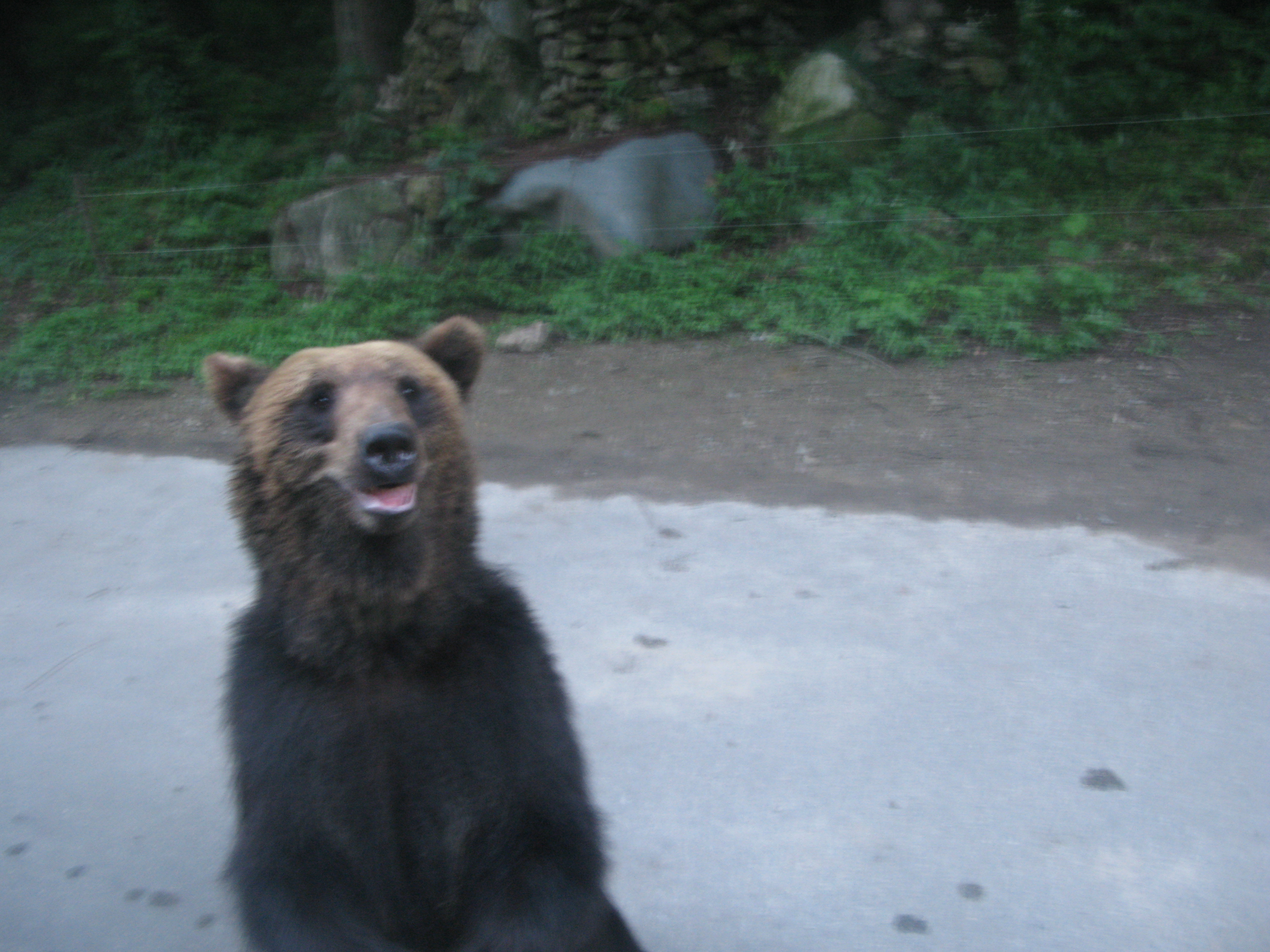 2010-06-20 오후 7-39-53.JPG