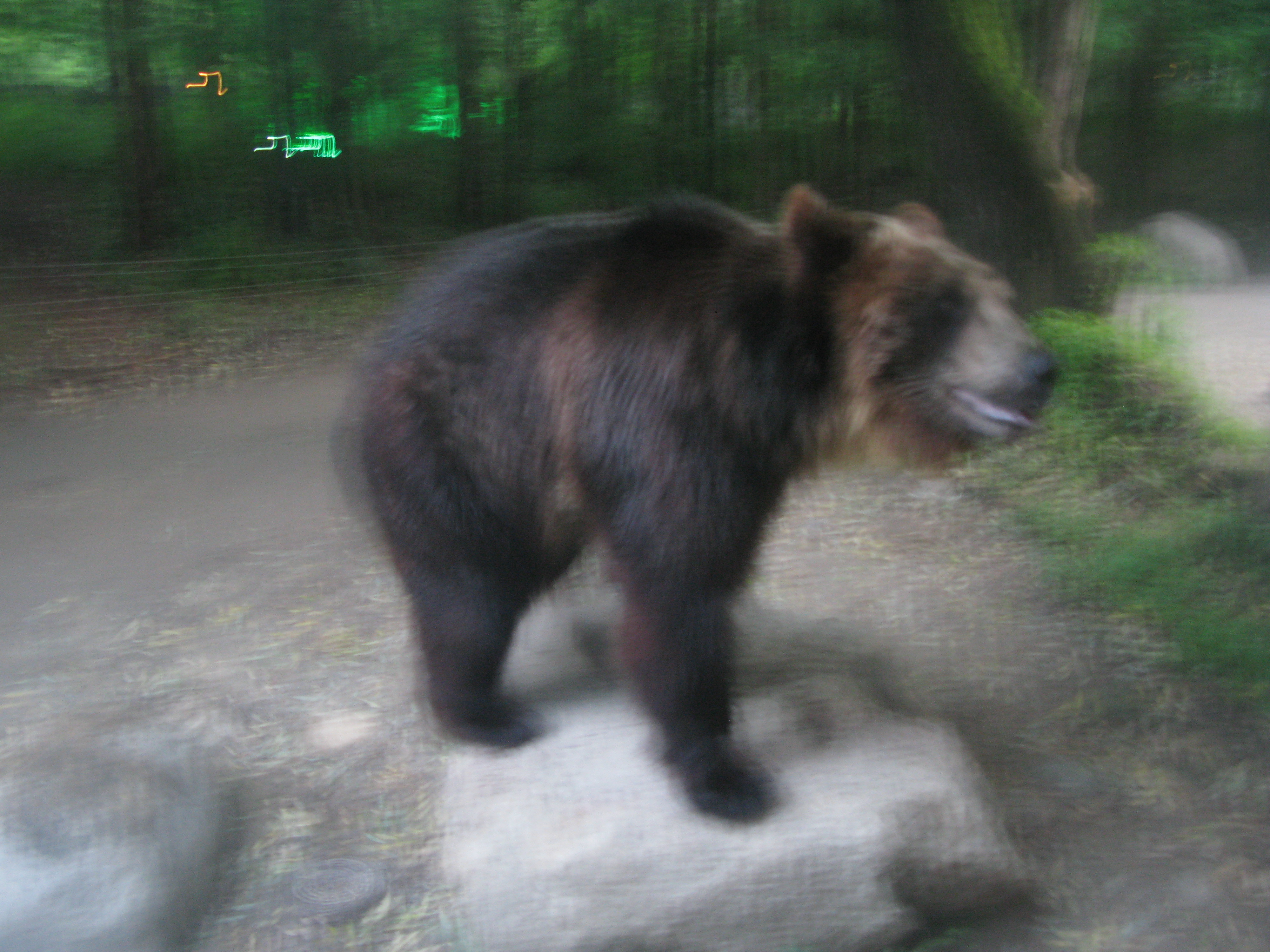 2010-06-20 오후 7-41-54.JPG
