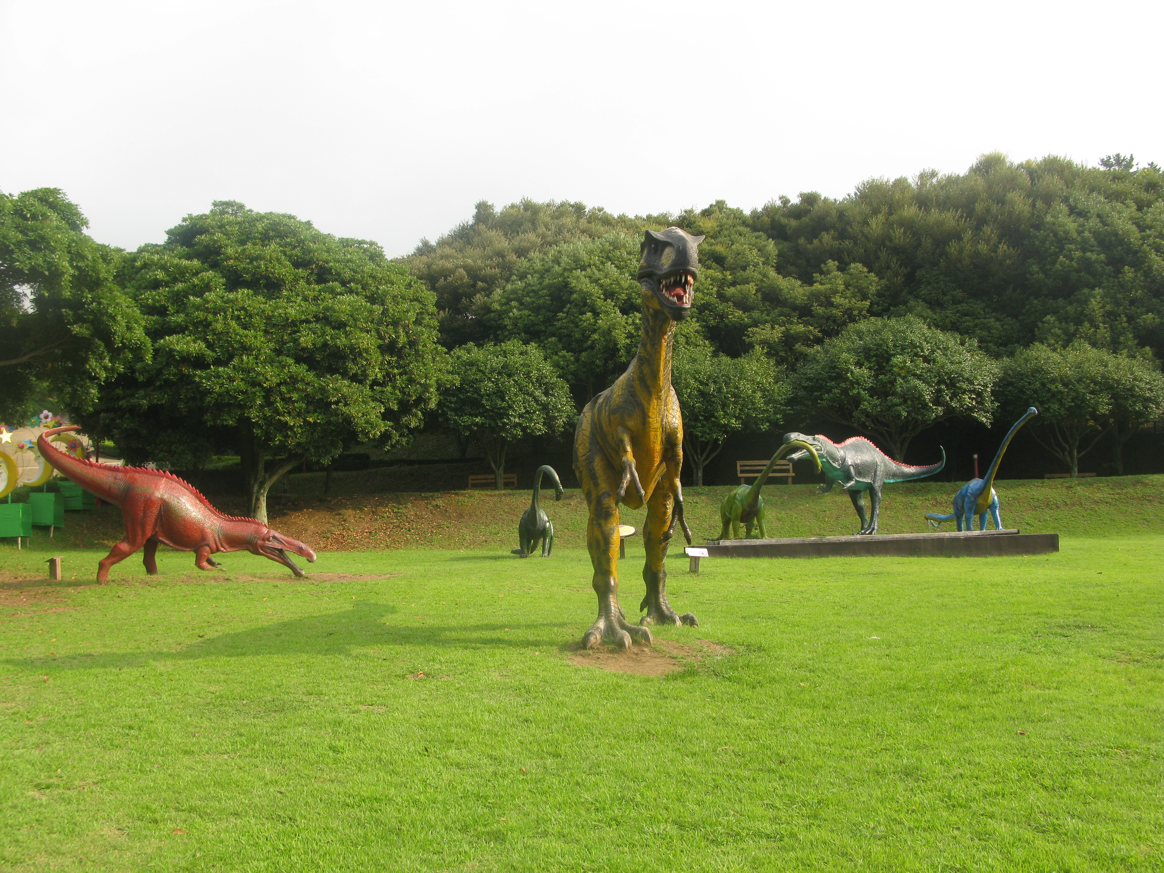 2010-08-04 오후 4-53-08.JPG