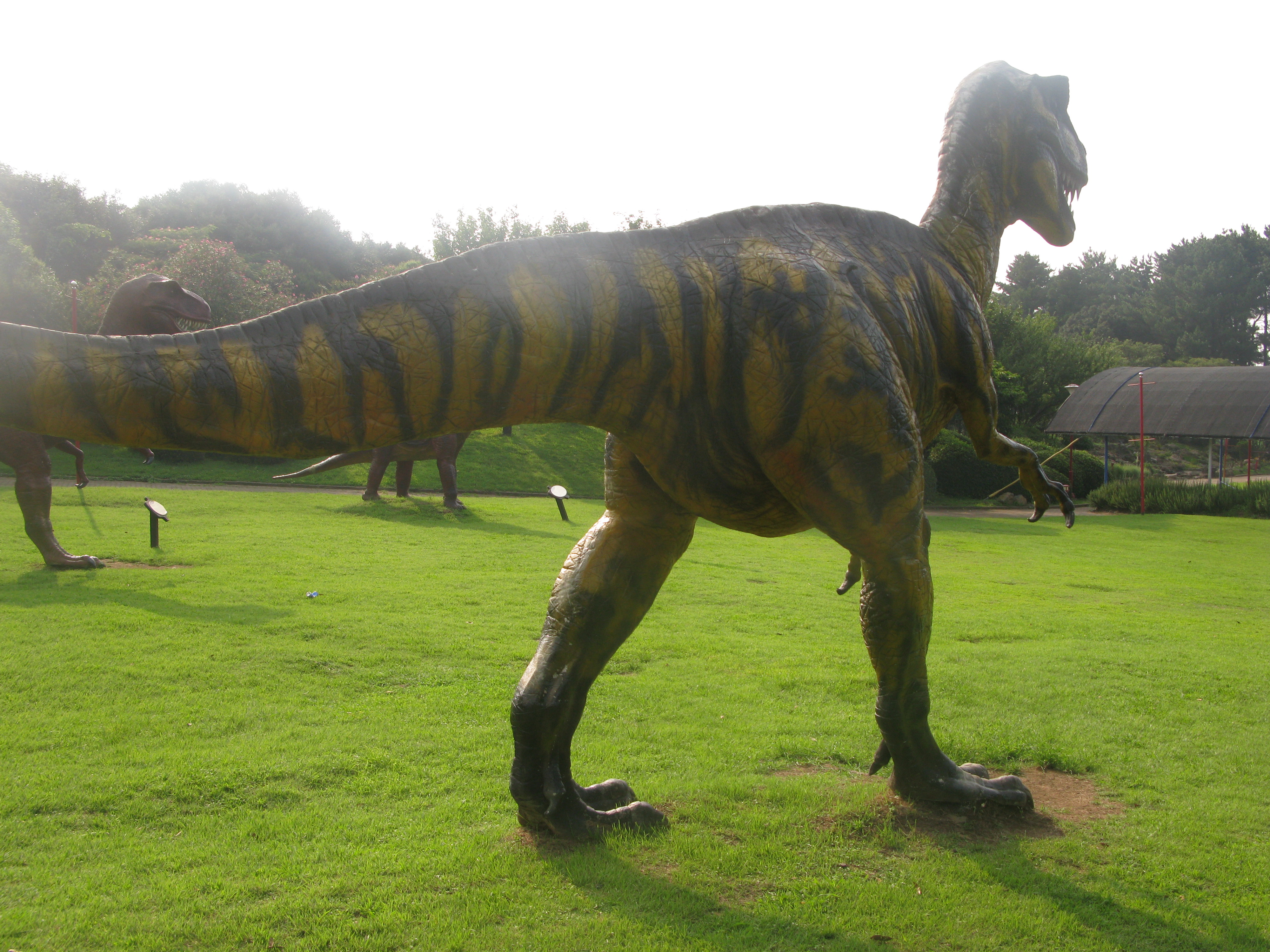 2010-08-04 오후 4-54-29.JPG