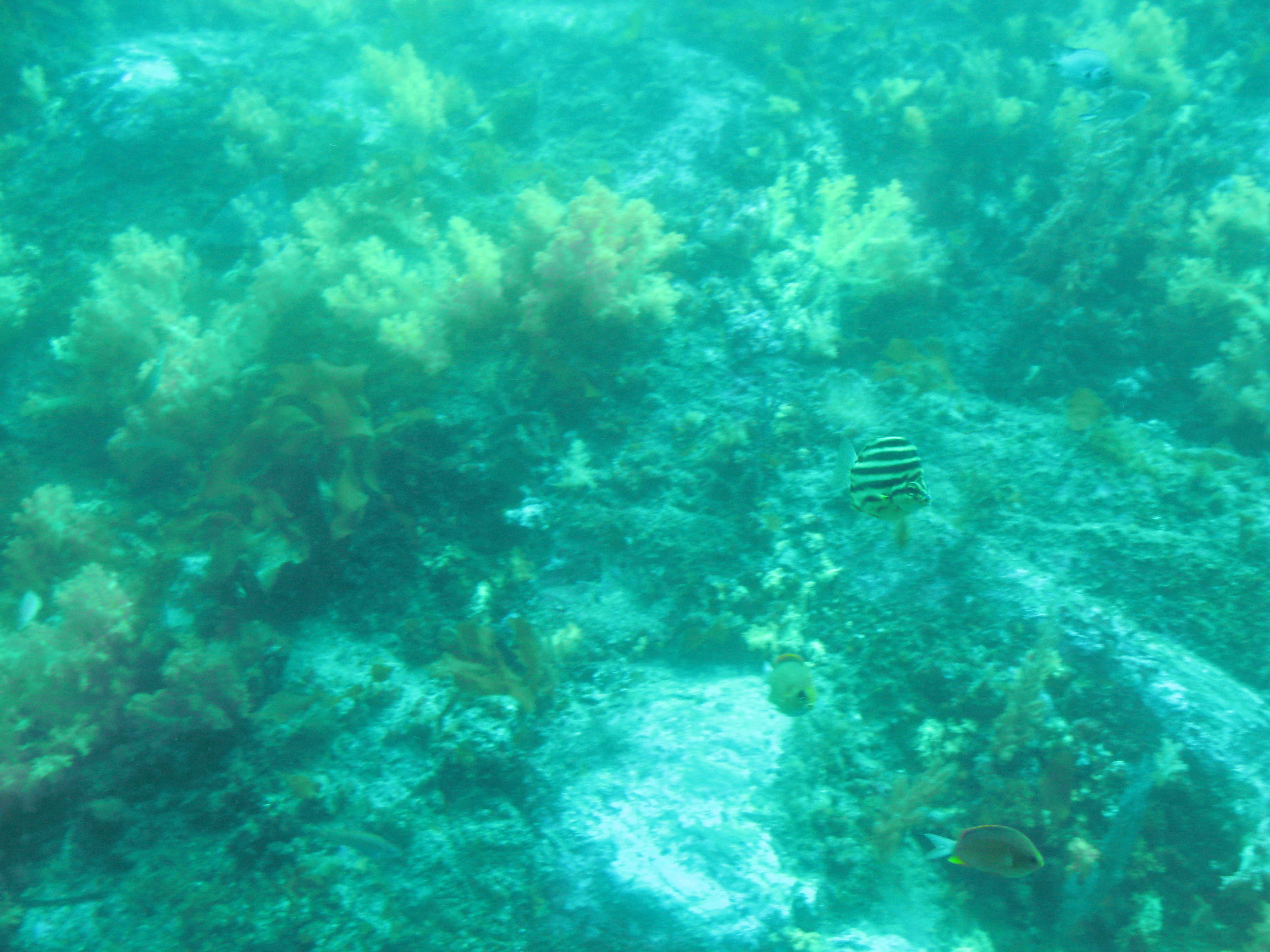 2010-08-05 오후 12-50-17.JPG