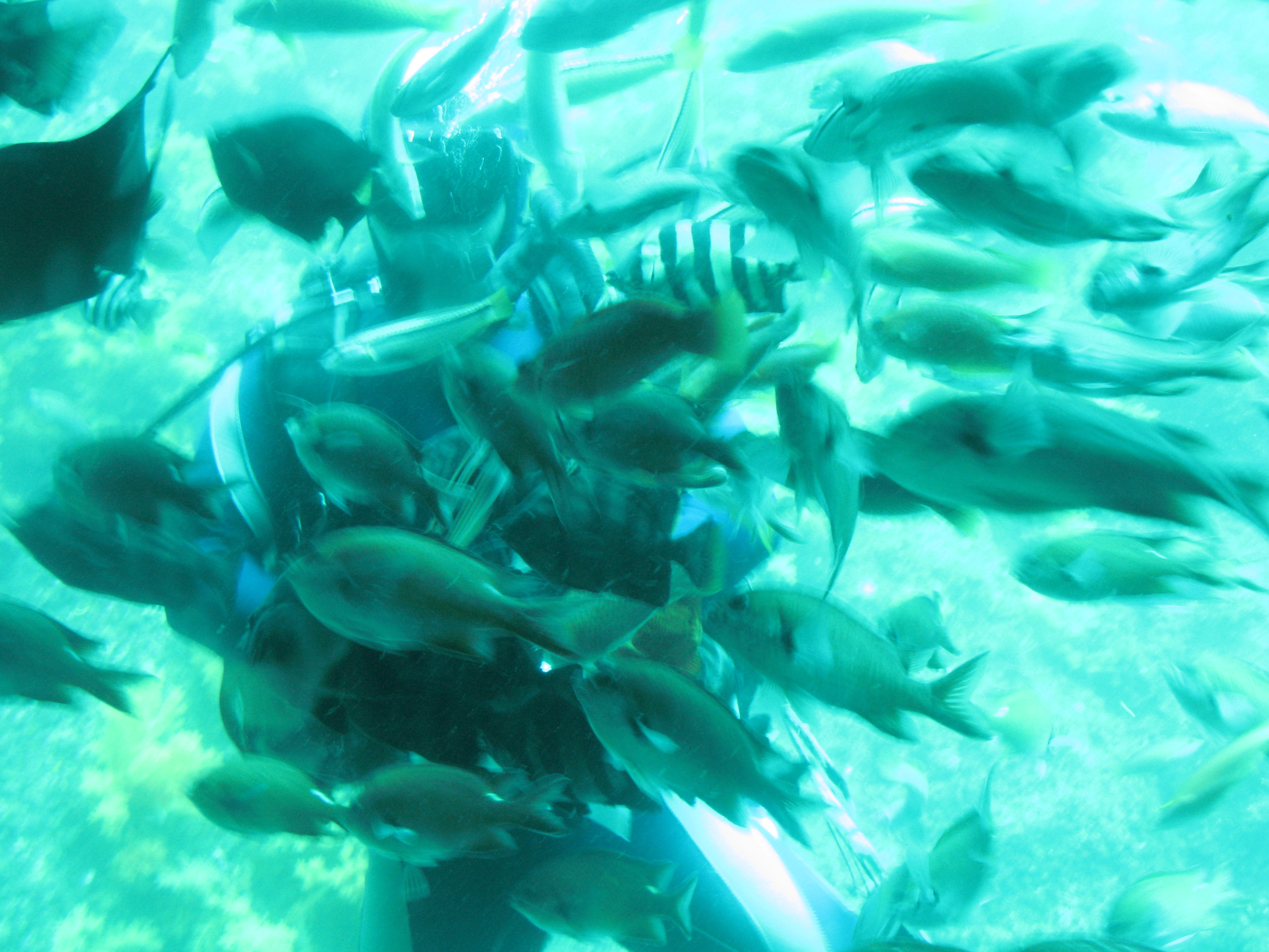 2010-08-05 오후 12-54-05.JPG