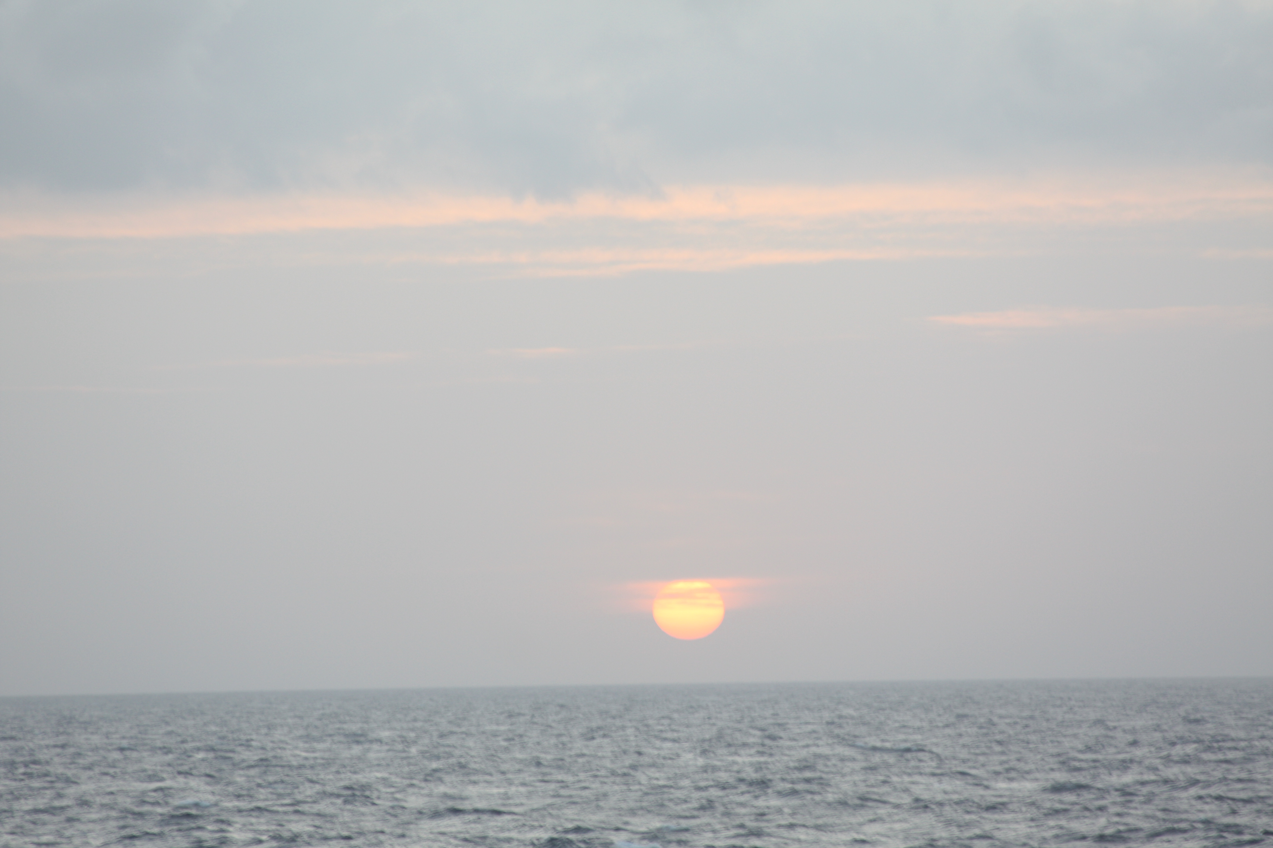 IMG_2257.JPG