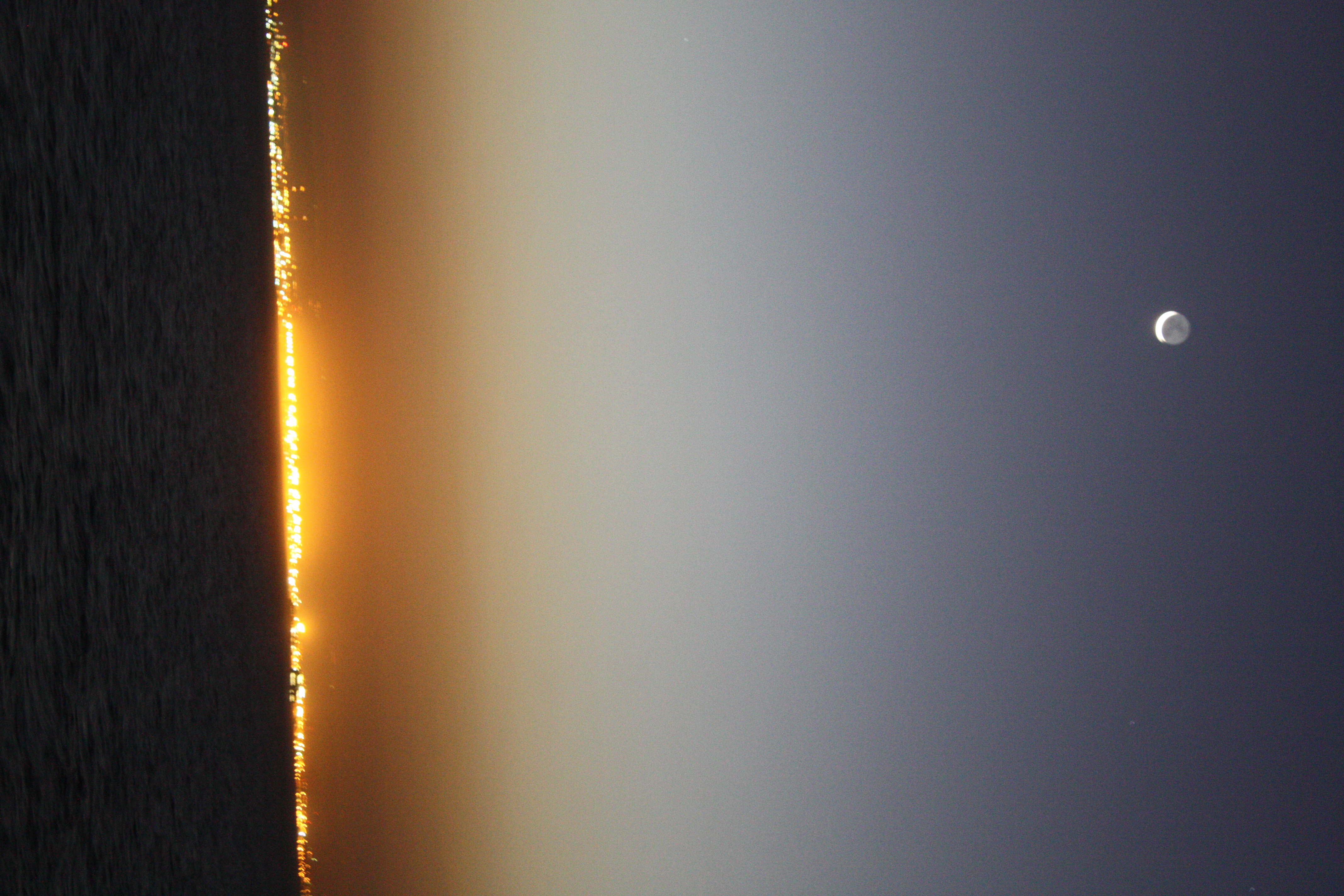 IMG_1299.JPG