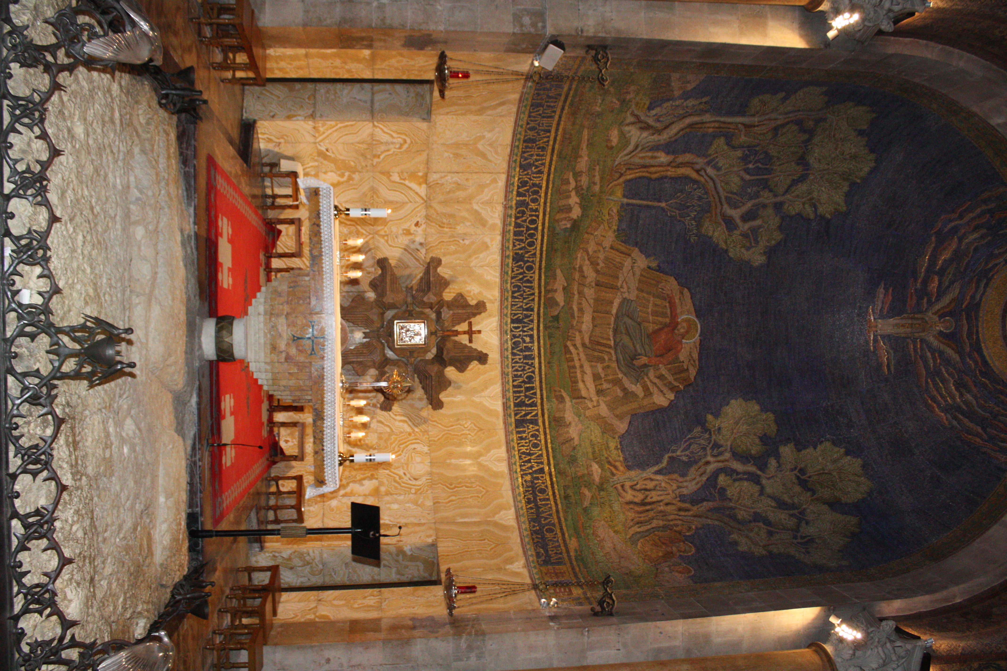 IMG_1546.JPG