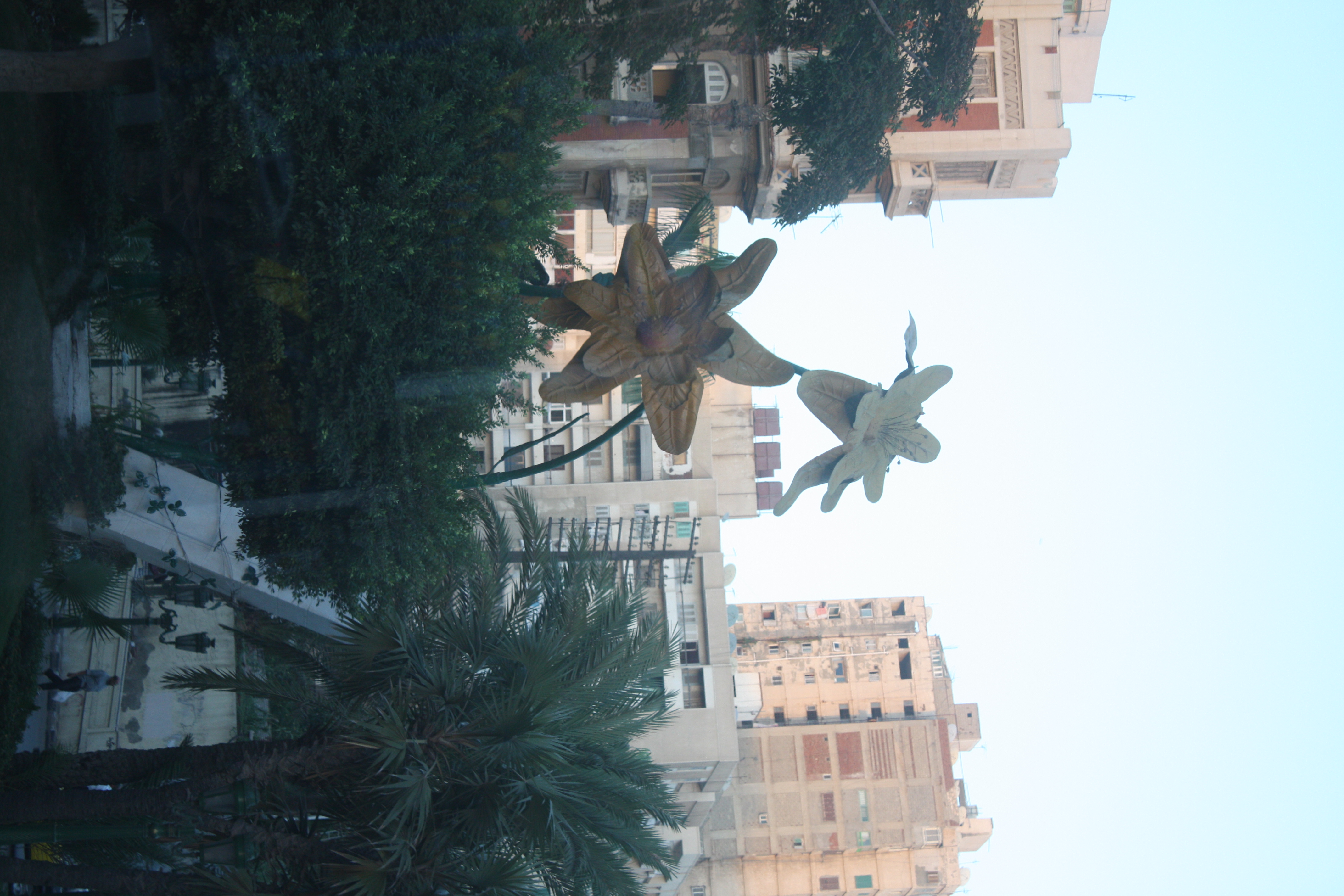 IMG_1691.JPG