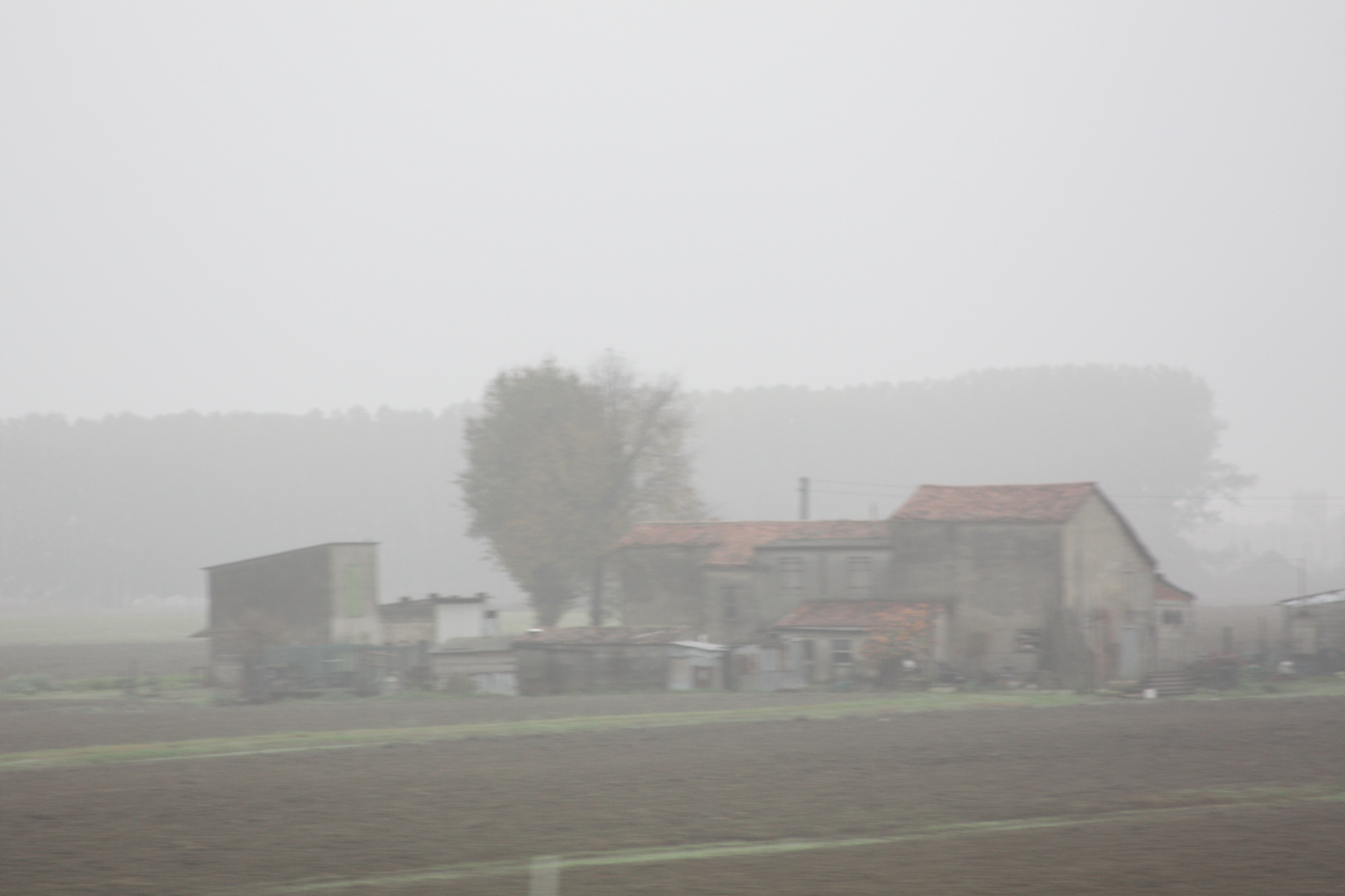 크루즈순례 1018.jpg
