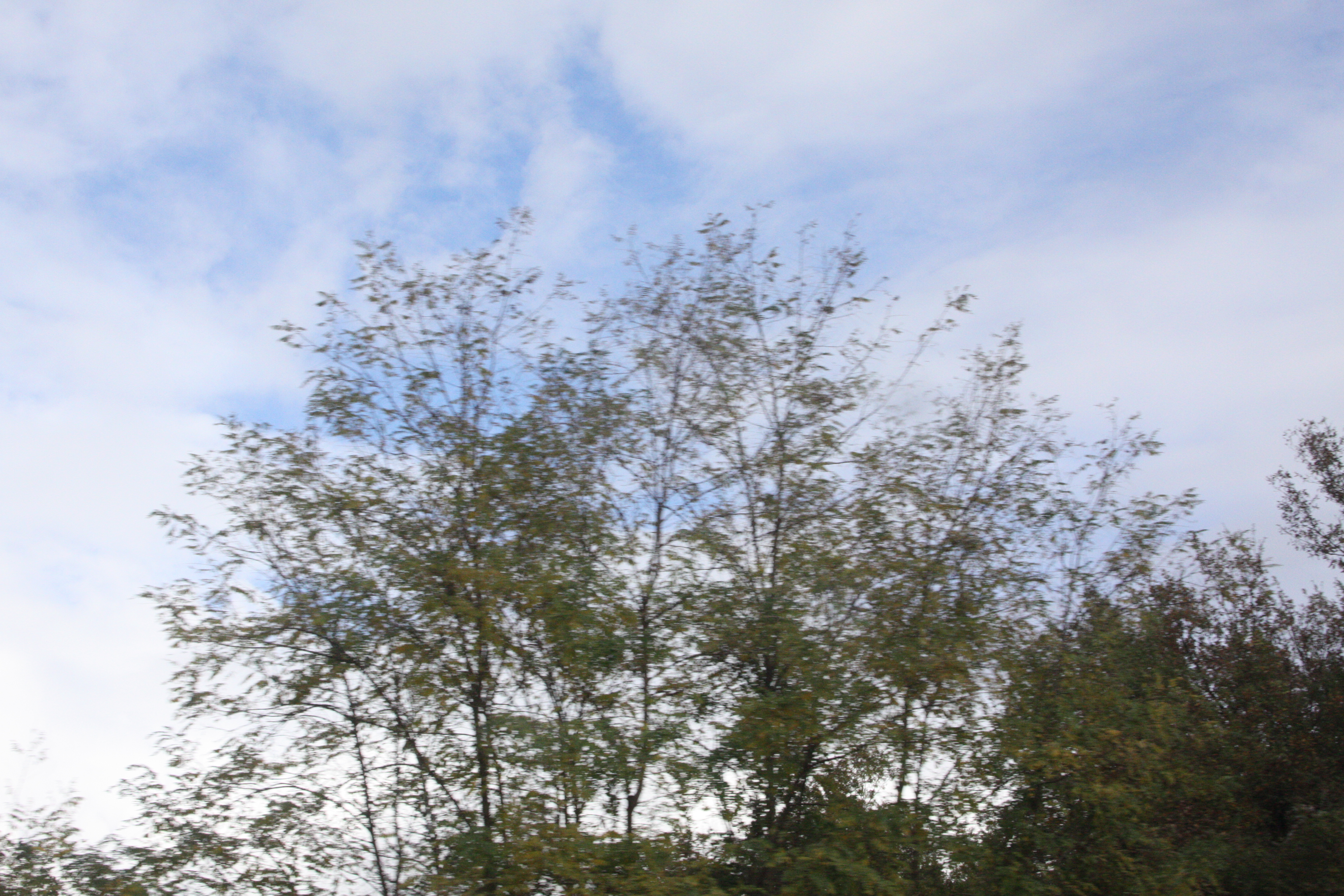 크루즈순례 1042.jpg