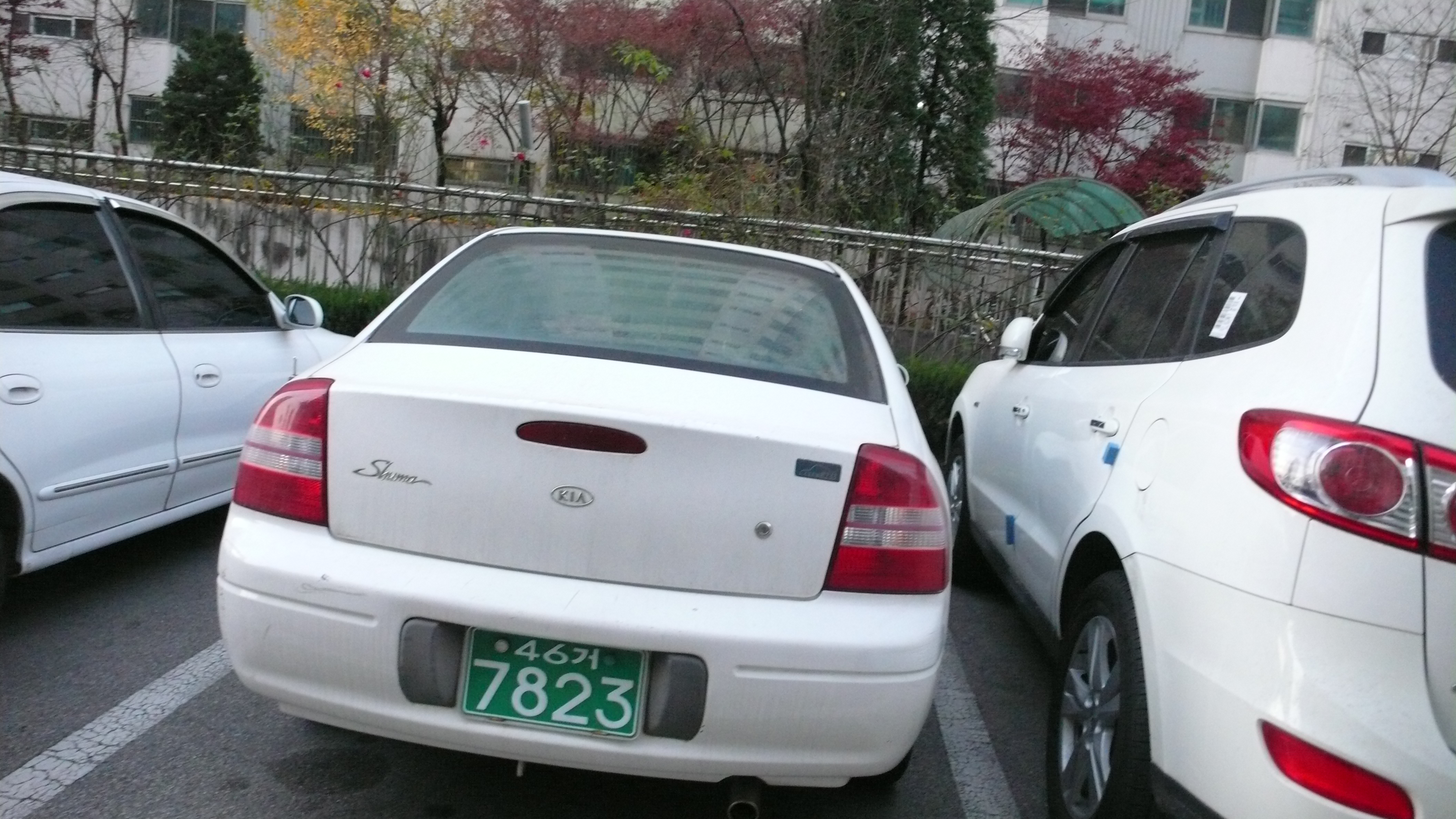 P1050915.JPG