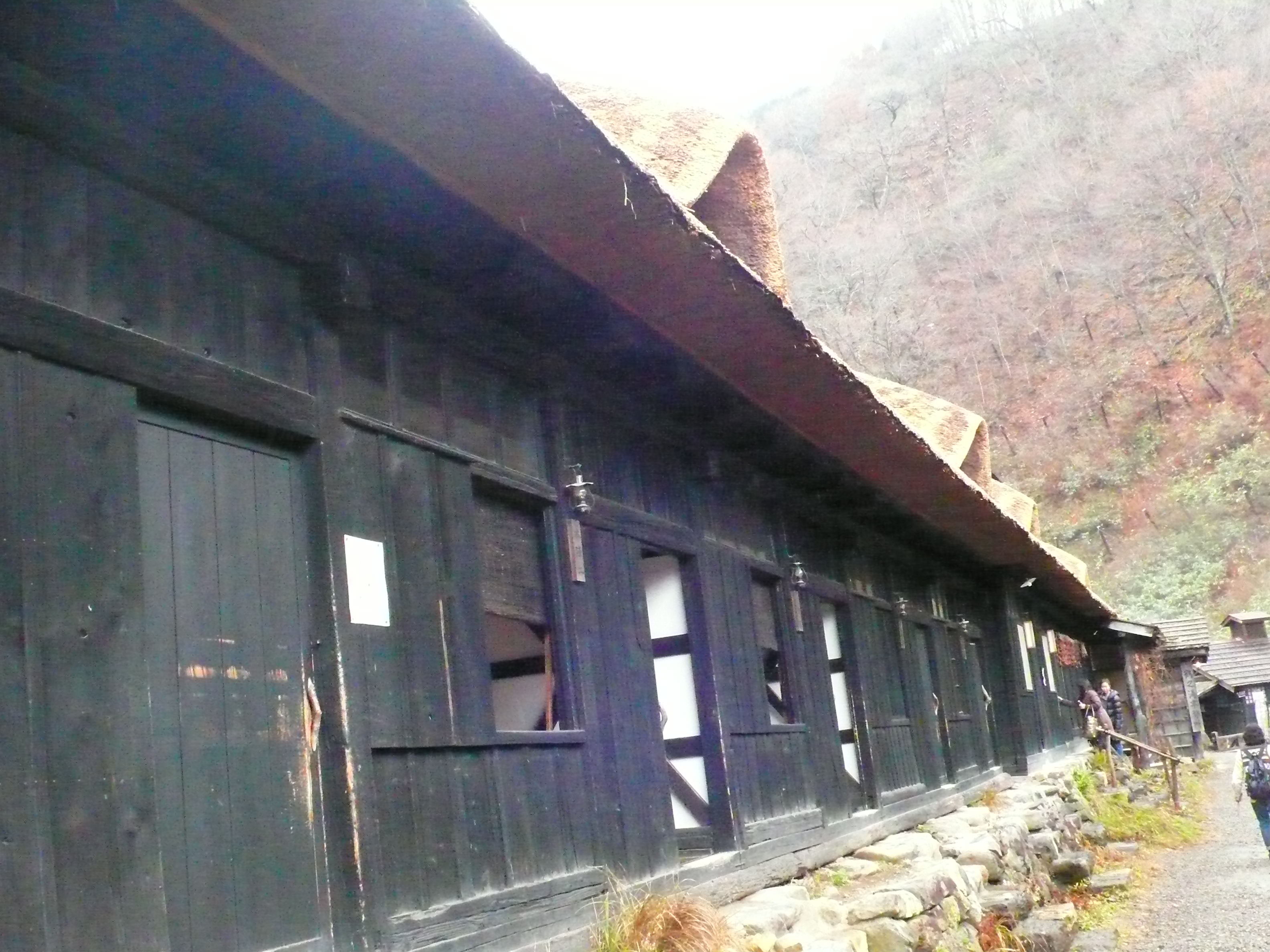 P1050969.JPG